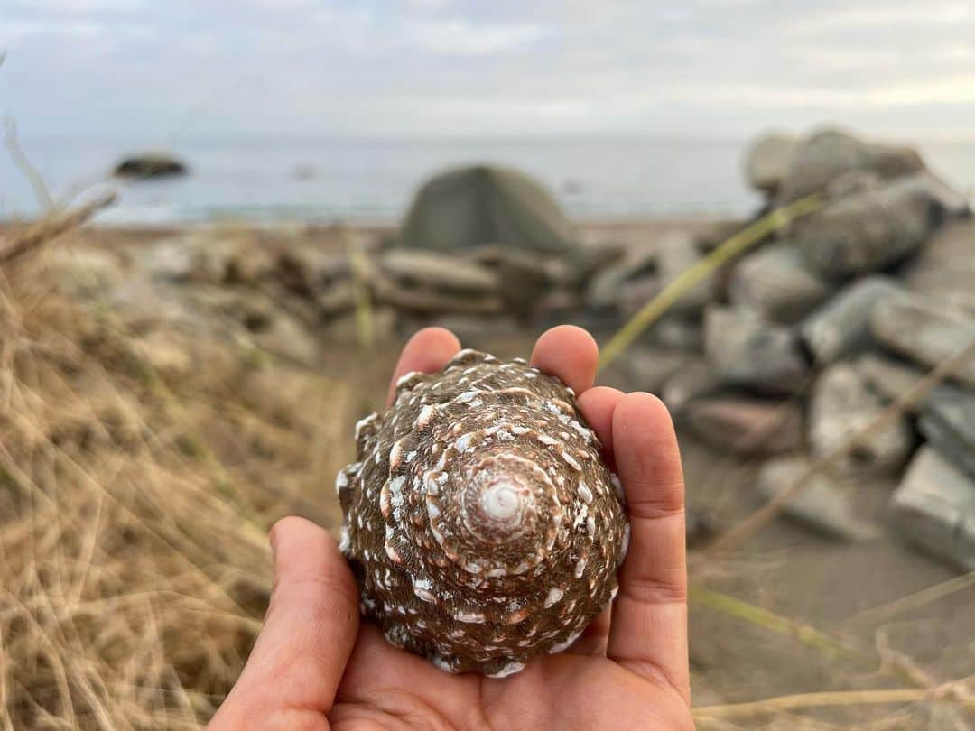 オータム・リーザーさんのインスタグラム写真 - (オータム・リーザーInstagram)「Standing in the middle of my life, in the middle of the stream flowing all around me, in the middle of the great unfolding.   This photo seemed perfect for 🐚 @accidentallywesanderson 🐚」9月19日 22時49分 - autumn_reeser