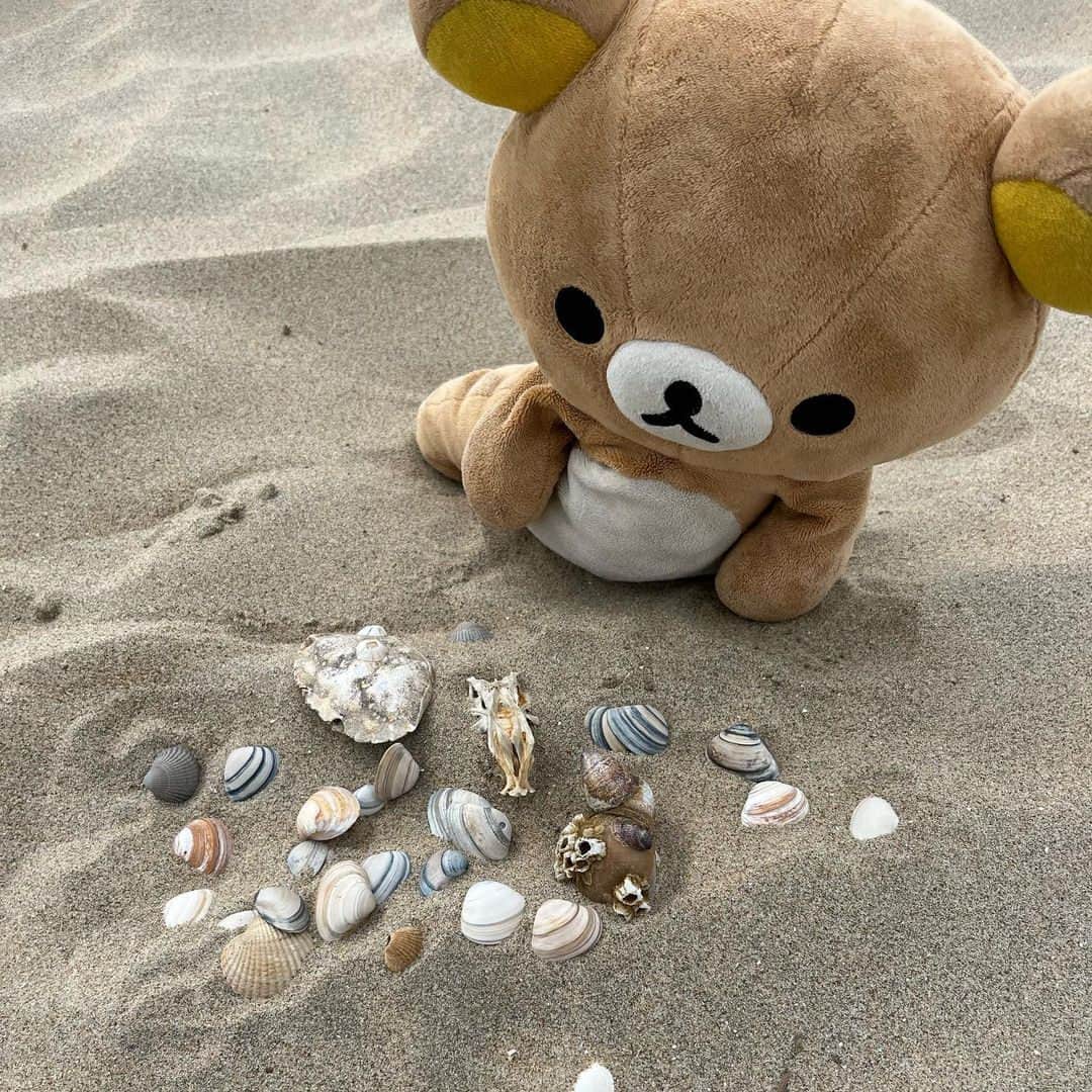 Rilakkuma US（リラックマ）さんのインスタグラム写真 - (Rilakkuma US（リラックマ）Instagram)「@voyagekuma brought Rilakkuma to the beach! Look at all the seashells they collected ~ 🐚  #rilakkumaus #rilakkuma #sanx #sanxoriginal #kawaii #plush #plushies #リラックマ #サンエックス #beach #seashells」9月19日 23時05分 - rilakkumaus