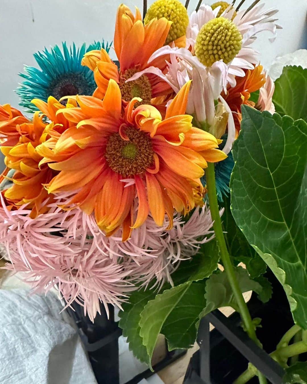 大島優子さんのインスタグラム写真 - (大島優子Instagram)「花と呼吸  今日はお花のいのちを 間近で感じた日。 そして 自分の心にあった新芽も 花開いた日。  花と呼吸した日。  あぁ素敵な一日でした  明日もがんばりましょうね💐」9月19日 23時14分 - yuk00shima