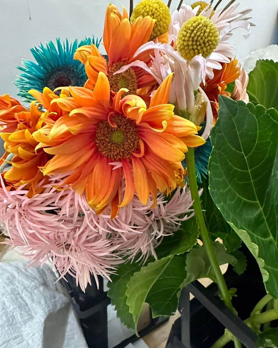 大島優子のインスタグラム：「花と呼吸  今日はお花のいのちを 間近で感じた日。 そして 自分の心にあった新芽も 花開いた日。  花と呼吸した日。  あぁ素敵な一日でした  明日もがんばりましょうね💐」