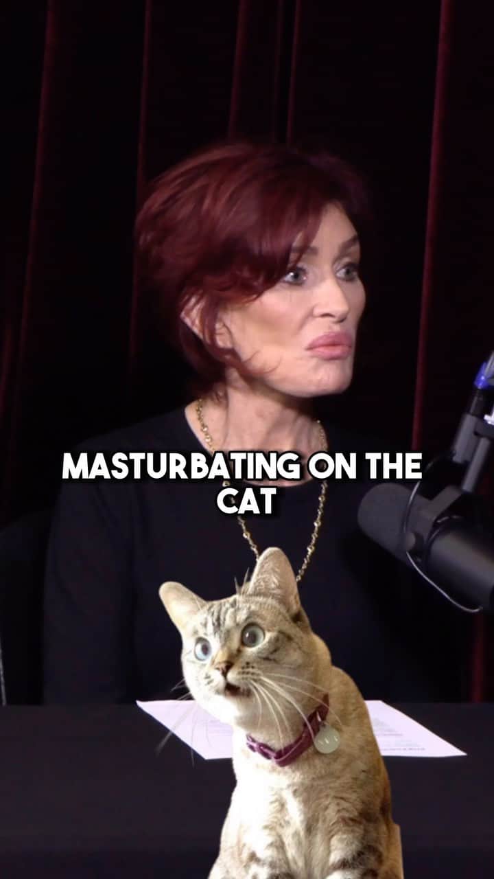 ケリー・オズボーンのインスタグラム：「Guess what…The cat’s outta the bag...   Episode 2 of The Osbournes Podcast is officially out now! We’re talking all things cults and crime, and a shocking headline about a cat, yes you heard that right, that you do not want to miss. Head to the link in bio to catch the full episode on Youtube or Rumble. You can also find audio versions wherever you get your podcasts, Spotify, Apple and more! #theosbournespodcast」