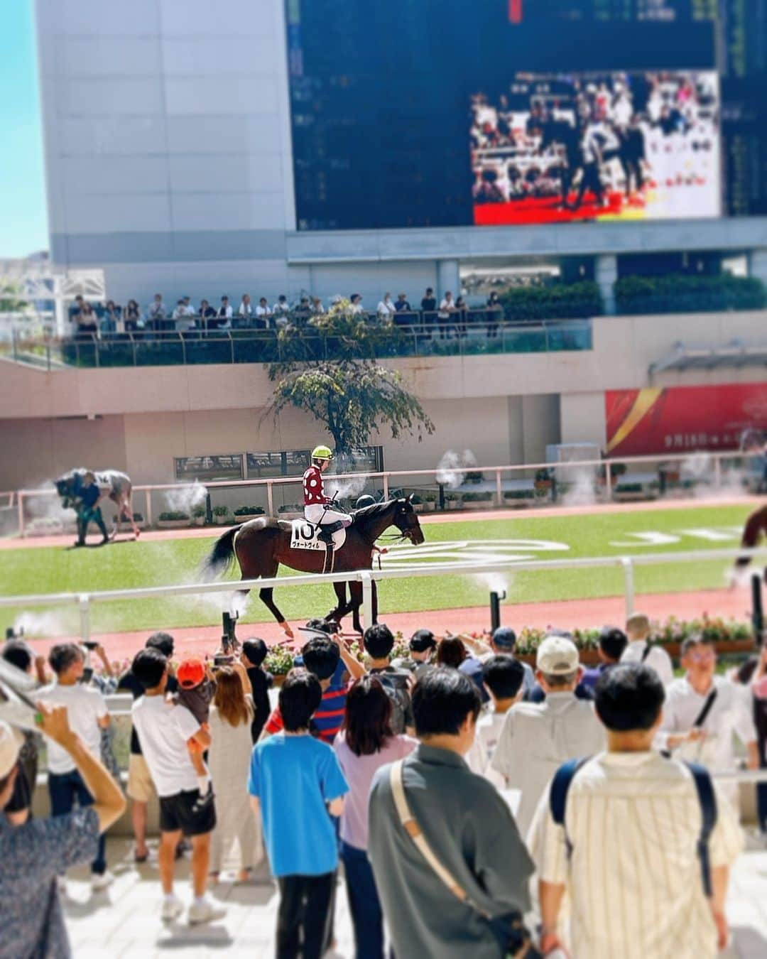 酒井健太のインスタグラム