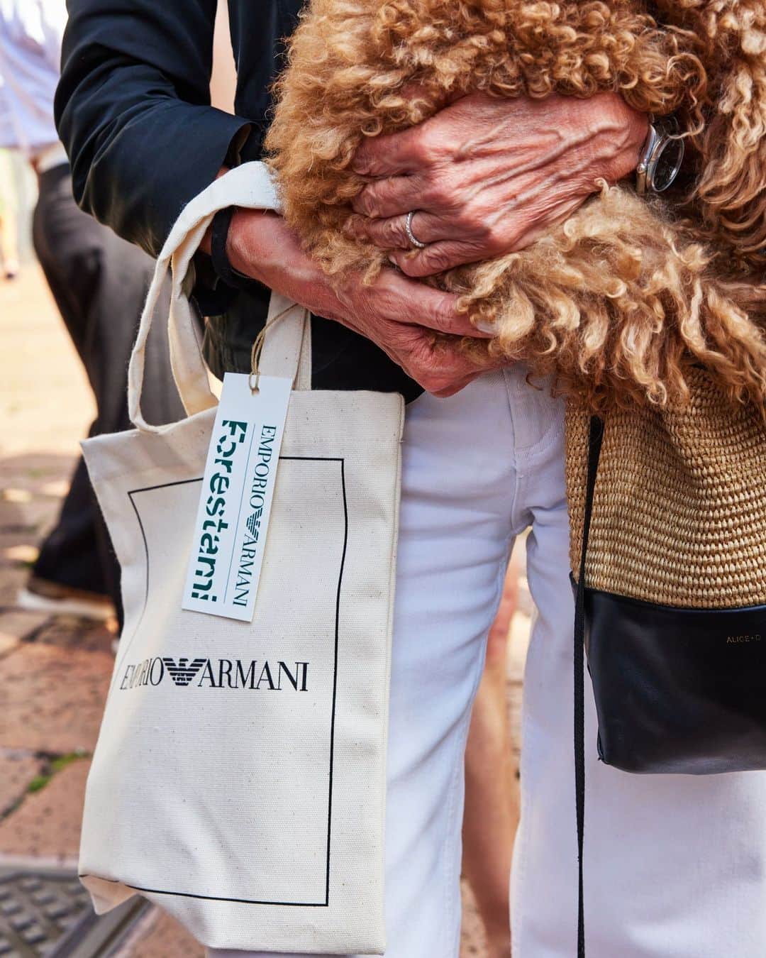 Armani Officialさんのインスタグラム写真 - (Armani OfficialInstagram)「Emporio Armani is partnering with Forestami to spread the word and raise awareness on the need of a greener world by gifting a special kit including a tote bag and a plant seed so that we can all do our part. ⁣ Go pick up yours in the following locations until Sunday.⁣  19/09  from 15:00 to 17:00– Emporio Armani/ Manzoni 31 20/09 from 15:00 to 17:00 – Darsena 21/09 from 15:00 to 19:00 – Largo delle Culture, Via Bergognone 22/09 from 15:00 to 17:00 – Darsena 23/09 from 15:00 to 17:00– Emporio Armani/ Manzoni 31 24/09  from 15:00 to 17:00– Emporio Armani/ Manzoni 31  @foresta_mi」9月20日 3時00分 - emporioarmani