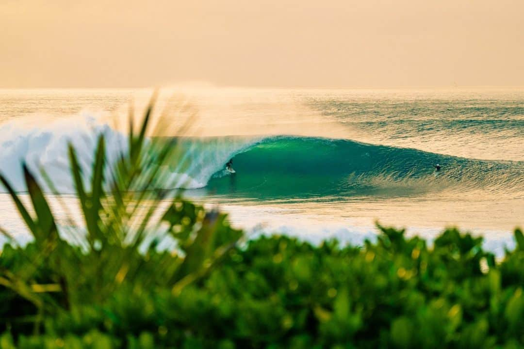 ハワイアン航空さんのインスタグラム写真 - (ハワイアン航空Instagram)「Aloha everyone! I’m Kammeran Keola, a photographer born and raised on the east side of Oahu. I mainly specialize in ocean photography and Hawaiian Airlines was kind enough to give me the opportunity to share my art with you on this week's #TakeoverTuesday.    I picked up my first camera at the age of 14 and dedicated the past 10 years of my life documenting special moments spent in and around the ocean.    The open sea and photography has taught me many life lessons in which resulted in the images you’ll see today! 📸 @KammeranKeola」9月20日 4時04分 - hawaiianairlines