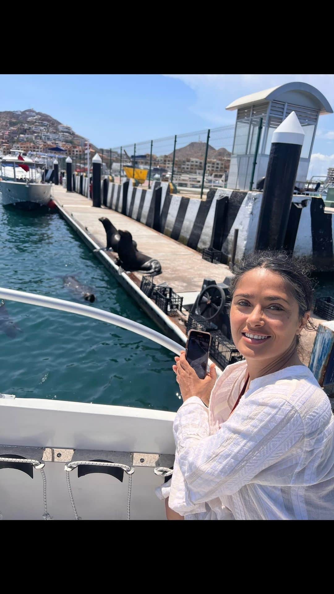 のインスタグラム：「🌊🦭🐚」