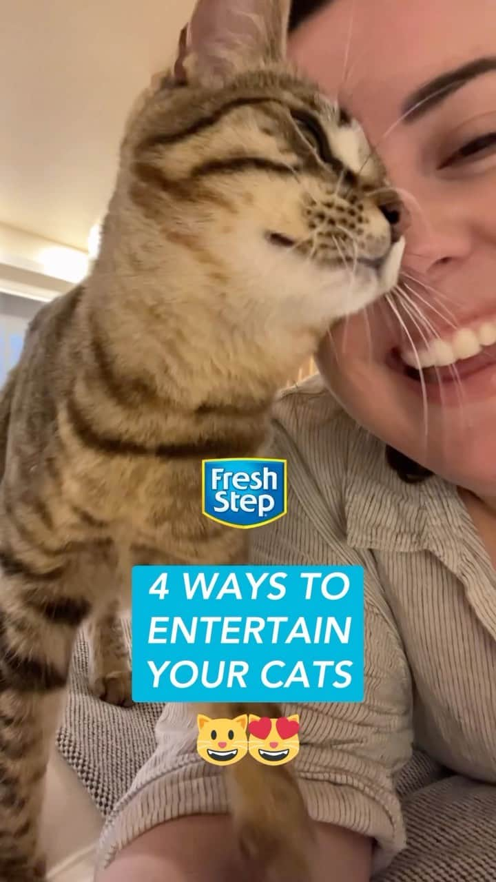 Fresh Stepのインスタグラム：「Testing new games with your kitty is a fun way to bring you closer together this Happy Cat Month. 🐱🧑💙Which of these do you want to try first?  #catenrichment #cattips #happycats #catnip #cattreats #catgames #freshstep #freshsteplitter」