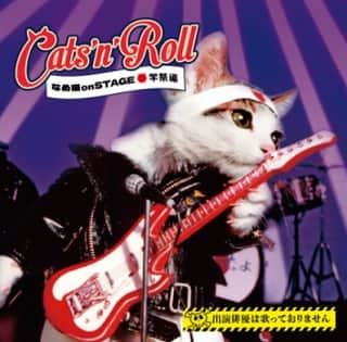 UNICORNのインスタグラム：「手島いさむプロデュース「Cats'n'Roll なめ猫 on STAGE 学祭編」完成！！  2023年2月上演の舞台「なめ猫onSTAGE」に書き下ろしたオリジナル楽曲集が完成しました！  10/15より、全国のCDショップ、各種CD通販サイト等で販売☆ ぜひお聴きください♪  只今より、LDR ONLINESHOPにて先行予約受付も開始！！ 予約受付ページ：https://shop.tessy.tv/?pid=177091503  LDRT-027 価格：￥3,000（税込み） LineDriveRecord 2023/10/15発売  作詞：村上純、神楽澤小虎、川西幸一、手島いさむ 作曲・編曲：手島いさむ  参加アーティスト：not men not 4 (道添祐一・タナカノリオ・大隅友喜・花澤拓己)、ゲルマウス(川西幸一・EBI)、手島いさむ、スアレス・ゴンザレス (Suárez González)、Sally's★Bar Band、ザ・ラヂオカセッツ、なめ猫オールスターズ  試聴はこちら：https://youtu.be/HOO2O41yIek」