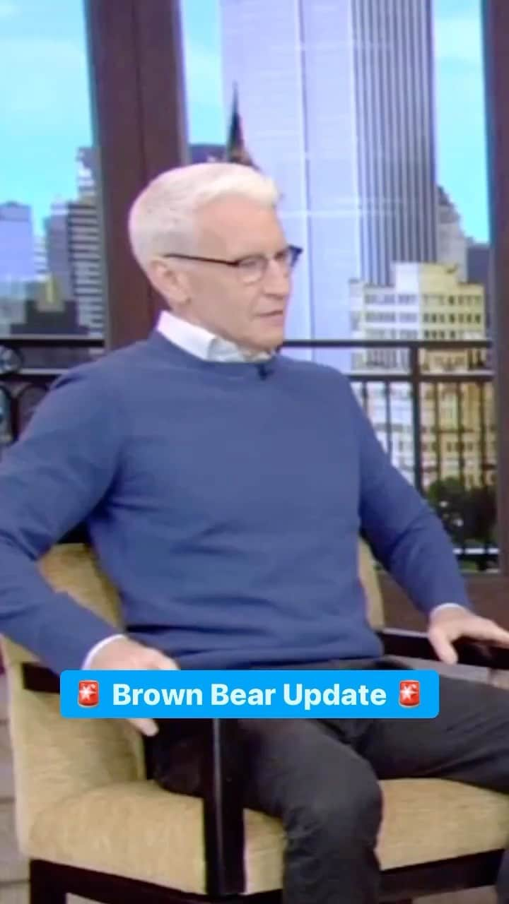 アンダーソン・クーパーのインスタグラム：「🚨 Brown Bear Update 🚨 @andersoncooper」