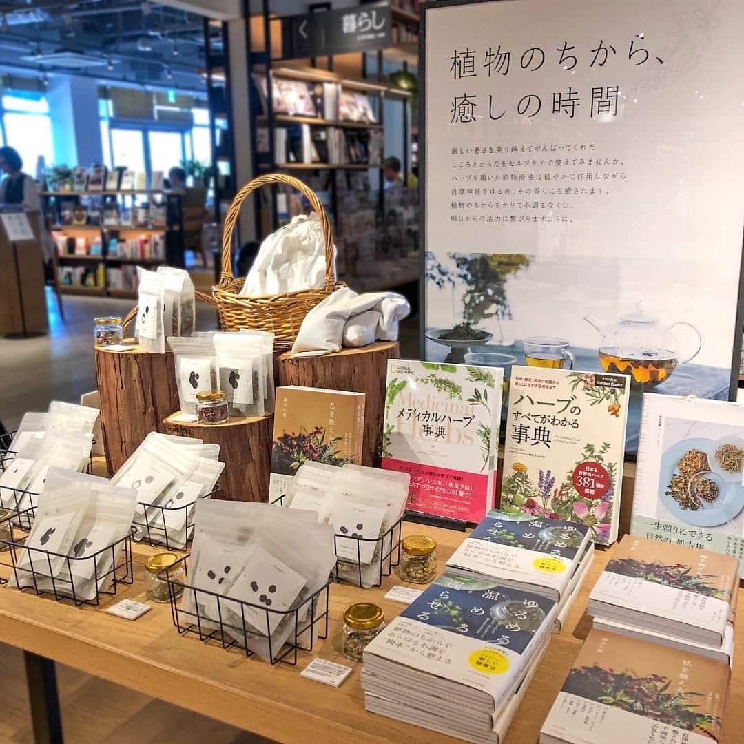 柏の葉 T-SITEのグルメインスタ