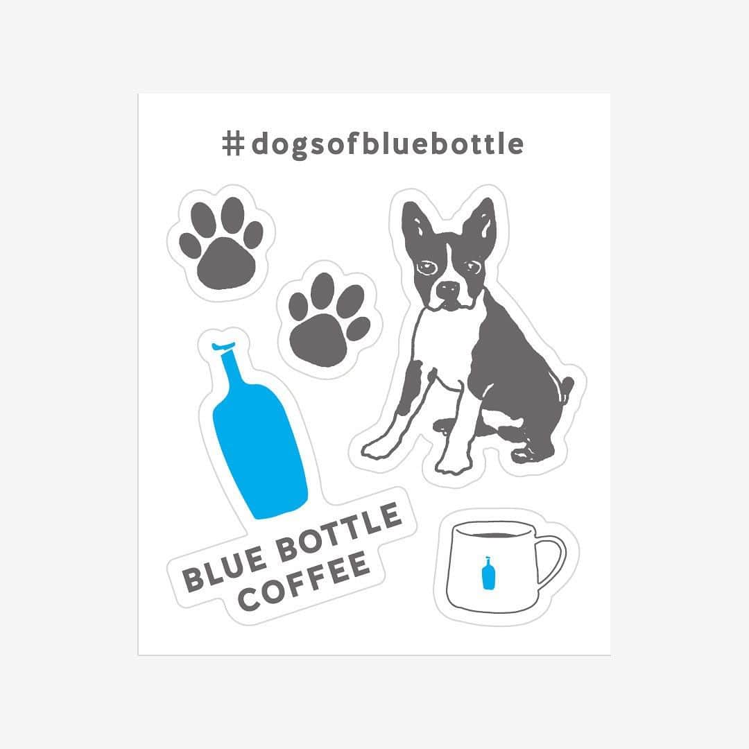 Blue Bottle Coffee Japanさんのインスタグラム写真 - (Blue Bottle Coffee JapanInstagram)「＼Dog Week 🐶 開催中／⁠ ⁠ 本日 9月20日(水)〜 9月26日(火)は動物愛護週間です！⁠ ブルーボトルコーヒーでは、対象店舗で「ドッグウィーク」を開催中😊✨⁠ ⁠ ハッシュタグ #DogsOfBlueBottle⁠ をつけて投稿いただいた、可愛いゲストをご紹介💙⁠ 素敵なお写真をシェアいただきありがとうございました！⁠ ⁠ ⁠ ・1 枚目：左からリオン(パパ), リアナ(ママ), リーフくん(お子さま)⁠ 　Photo by @miwa_and_lion⁠ ⁠ ・2 枚目：カヌレちゃん⁠ 　Photo by @buuchan0128⁠ ⁠ ・3 枚目：ミクスちゃん⁠ 　Photo by @pomepoomix⁠ ⁠ Thank you for sharing!⁠ ⁠ ⁠ イベント期間中、ワンちゃんと一緒に対象カフェにてドリンクをオーダーいただいたお客さまに「ドッグトリーツ(おやつ) 」と「オリジナルステッカー*」をお渡ししております！⁠ ⁠ ぜひ、ワンちゃんのお散歩がてらブルーボトルコーヒー カフェにお立ち寄りください♪⁠ ⁠ ⁠ 引き続き、ハッシュタグ #DogsOfBlueBottle⁠ をつけた、ワンちゃんとのお写真の投稿もお待ちしております📸 SNSでご紹介させていただきます！⁠ ⁠ * オリジナルステッカーは、1 会計につき 1 枚プレゼントさせていただきます。⁠ ⁠ ⁠ ーーーーーーーーーー⁠ ドッグウィーク⁠ 開催期間：2023年9月16日(土)〜 9月26日(火)⁠ 開催カフェ：清澄白河、中目黒、渋谷、みなとみらい、池袋、三軒茶屋、広尾、六本木、白井屋、京都、神戸阪急⁠ ⁠ ※ワンちゃんが 2 匹以上の場合、ドッグトリーツはワンちゃんの数分ご提供いたします。⁠ ※ワンちゃんを連れての店内入店はご遠慮いただいております。ご来店の際はバリスタへぜひお声がけください。⁠ ※京都カフェではTHE DAYSさんとのコラボドッグトリーツではなく、別の種類のドッグトリーツをご用意しております。⁠ ドッグトリーツの販売もございませんのであらかじめご了承ください。⁠ ーーーーーーーーーー⁠ ⁠ ⁠ ⁠ ⁠#DogsOfBlueBottle⁠ #ブルーボトルコーヒー⁠ #BlueBottleCoffee」9月20日 15時36分 - bluebottlejapan