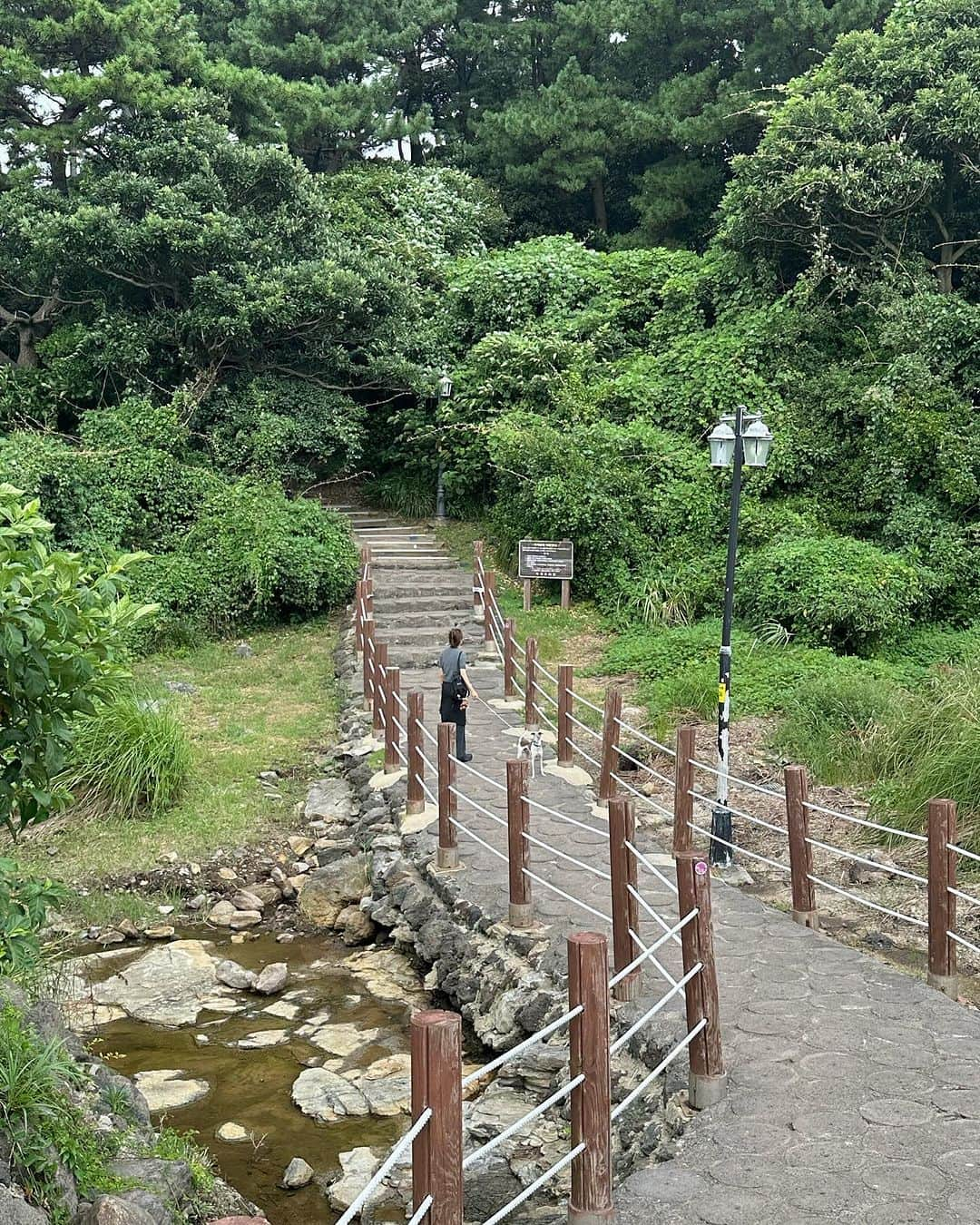 COCO さんのインスタグラム写真 - (COCO Instagram)「와ㅏ🏝️  #제주도 #제주도여행  #제주두숙소」9月20日 16時27分 - rilaccoco