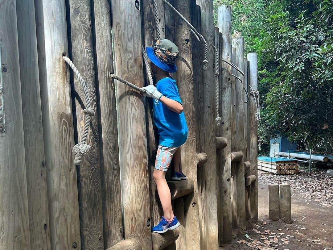 釈由美子さんのインスタグラム写真 - (釈由美子Instagram)「先日、千葉県 野田にある清水公園に家族で遊びにいきました🤸‍♂️  噂に聞いていたけど アスレチックがすごかった！！ ∑(ﾟДﾟ)  私は見守り担当でしたが パパと息子は、汗だく💦泥だらけ🦠 水上コースではドボン💣で びしょ濡れでした🫣  アクアゾーンでは  巨大遊具と噴水で 残暑でもたっぷり水遊びができ  【森の迷路】がコンセプトの 迷路ゾーンでは その場で新しくできたお友達と一緒に 謎解きに挑戦してました🫨  体力、気力ともに どんどんパワーアップしてるちびゴジラにとって  大大大満足の公園でした🤣🤣🤣  #清水公園 #清水公園フィールドアスレチック  #うちから遠くて知らなかったけど #三浦奈保子さんに教えてもらいました🥰 #今度はなおちゃんファミリーと行きたい❤️」9月20日 16時34分 - yumikoshaku