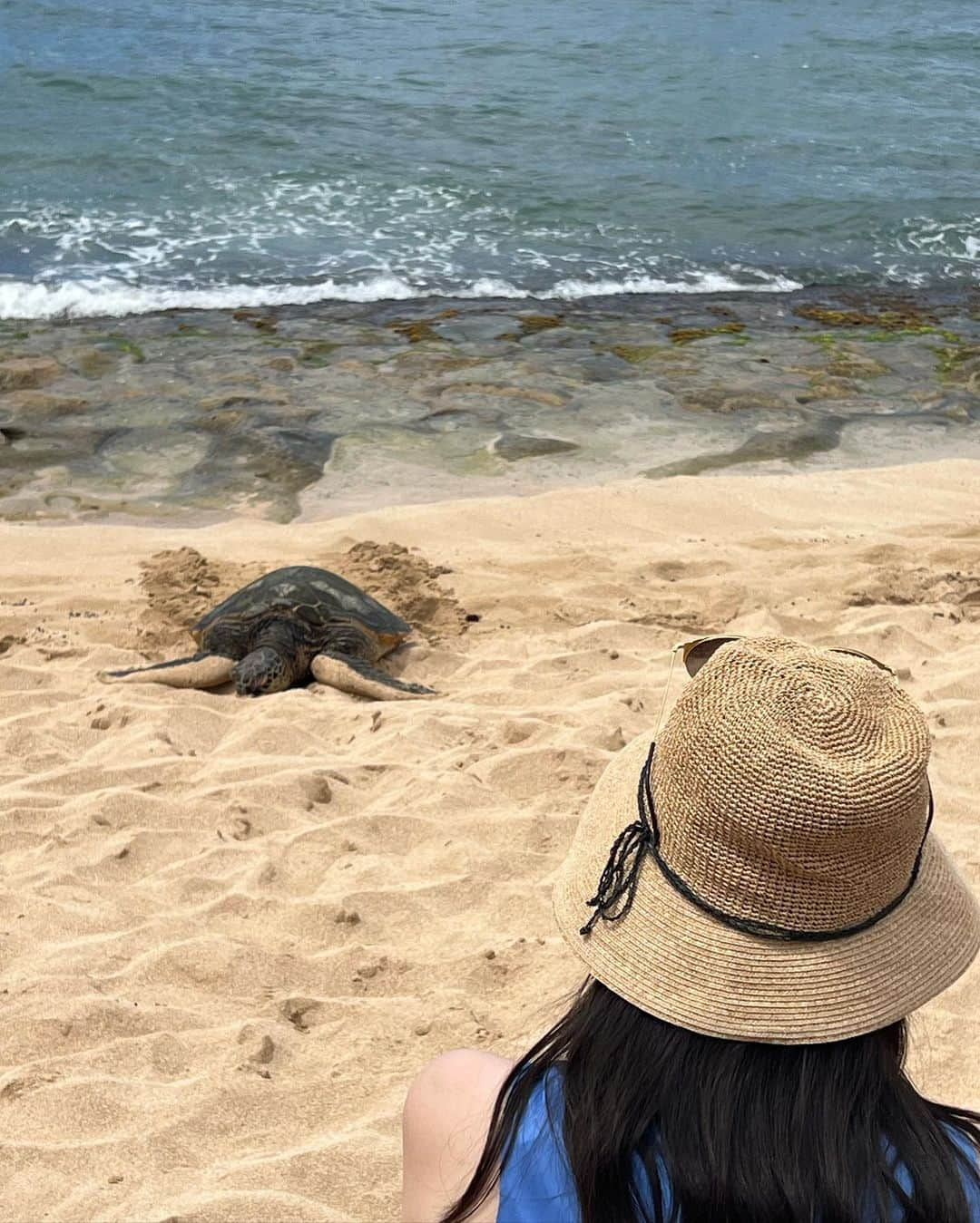 勝田梨乃さんのインスタグラム写真 - (勝田梨乃Instagram)「⁡ ⁡ Summer vacation🌺 ⁡ ウミガメに会えるかもしれない🐢と思って行った ラニケアビーチで、本当にウミガメに会えた日！！  Michel'sのディナーは家族みんなで楽しめた 素敵な時間でした🫶🏻 ⁡ ⁡ Day2 ⁡ #ホオマルヒア植物園 #ジョバンニ  #ラニケアビーチ #ドールプランテーション #Michel's @doleplantationjp  @michelshawaii @michels_at_the_colony_surf」9月20日 7時45分 - rino_katsuta