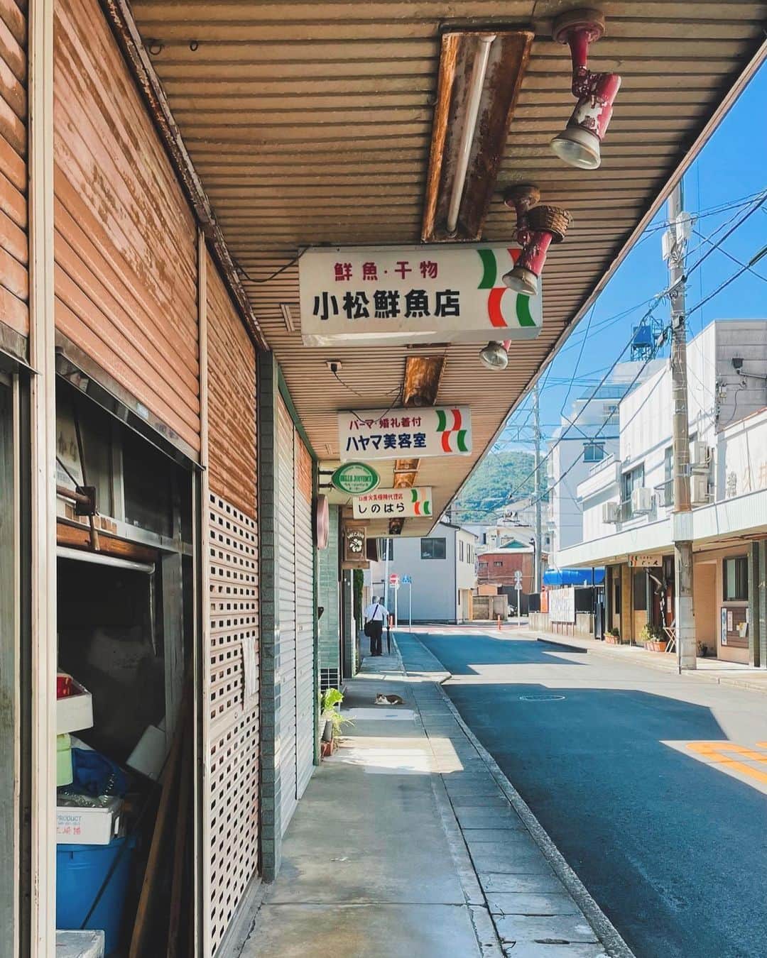 のインスタグラム：「商店街をゆく。  #伊東市 #伊東の暮らし #伊東のいいとこ #わたしといとうと  #ito #izu #japanview」