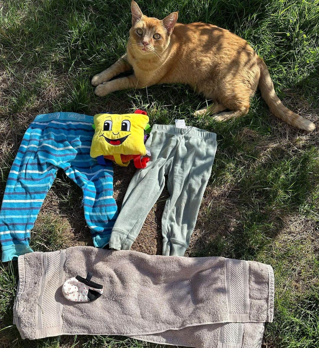 Snorri Sturlusonのインスタグラム