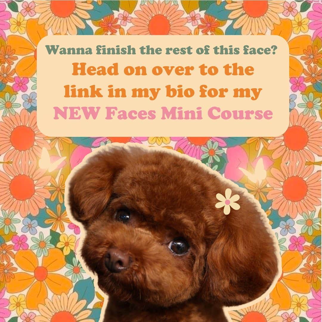 JessRonaGroomingさんのインスタグラム写真 - (JessRonaGroomingInstagram)「Alert the masses! This week only, my brand new first ever Faces Mini Course is on sale for less than $50!   Learn my signature blueprint on 4 different never before seen face tutorials 🐩❤️  Click the link in my bio for info or comment FACES and check your DMs for your special deal! ✨🎉  #dogsofinstagram #dog #dogs #puppy #puppies #puppyeyes #doggroomerofinstagram #doggrooming #doggroomingtips #doggroomers #doggroomerlife #jessronagrooming」9月20日 8時47分 - jessronagrooming