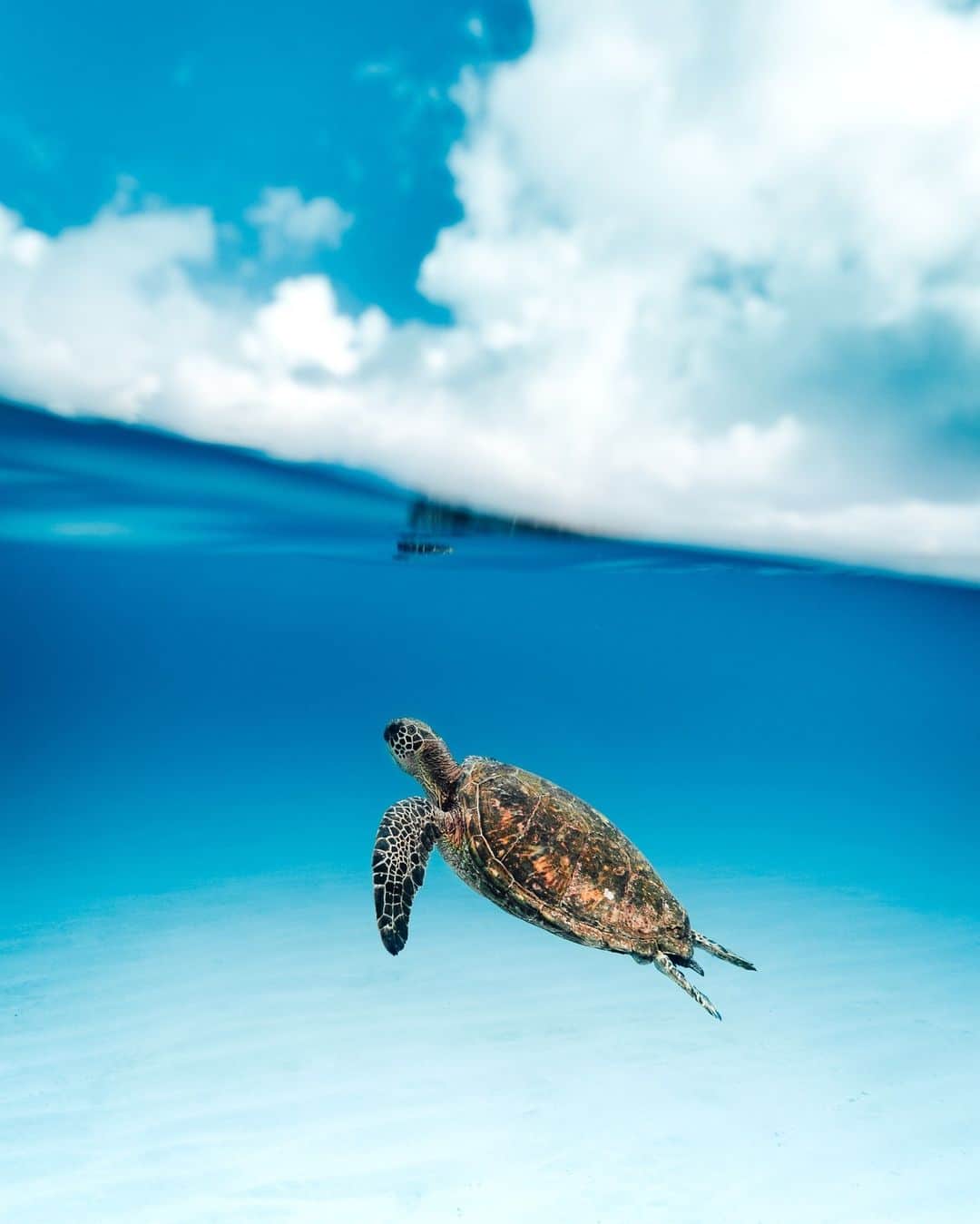 ハワイアン航空のインスタグラム：「Before I sign off on my #TakeoverTuesday with Hawaiian Airlines, I want to say thank you so much for taking the time to get to know me and taking a moment to look through my portfolio! I hope seeing the beauty of what Hawaii has to offer will inspire you to continue to care for the place I call home.    I simply ask those who visit to come with an open mind & heart, to be safe in & around the ocean, show love & respect to local cultures & custom, support the local community and lastly, leave Hawaii better than you found it! Let’s Ho’omau Hawaii together 💙   If any of the imagery you've seen today moved you or inspired you, there’s a lot more where that came from here on my page @KammeranKeola.   Mahalo Nui @HawaiianAirlines for this amazing opportunity.」