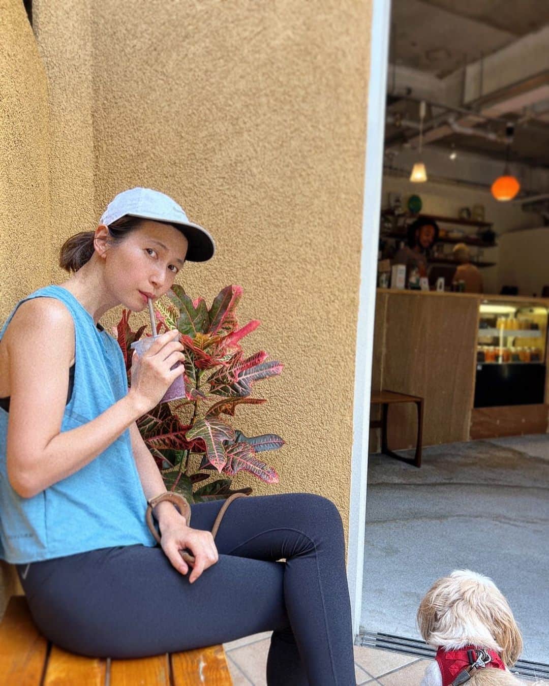 のインスタグラム：「撮影前に朝ラン＆散歩🏃‍♀️🏃‍♀️🏃‍♀️ 仕事前に走ったり歩いたりすると シャキーンと朝から エンジンがかかるから ハマっていて ルーティンになりつつある👻☀️  昼間はまだまだ暑くて いつ涼しくなるんだろ、、だけど🫠 朝晩は少しだけ涼しくなってきたので ようやく走りやすくて嬉しいー！😆 今日も元気に〜！ . #朝ラン#朝活#ランニング#ランニング女子#kazumiのフルマラソンへの道 #カブキ#シーズー#犬のいる暮らし#犬#kazumi#ランニングウェア#nike」
