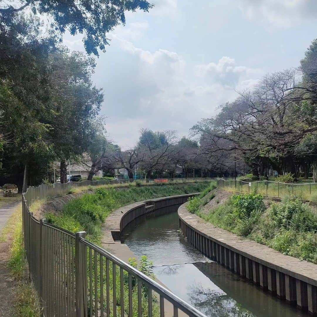 のインスタグラム：「おはようございます。 朝の散歩。快晴やと思って写真撮ろうとしたら急にくもりなった。今日も頑張ろう  #朝散歩 #朝のルーティン」