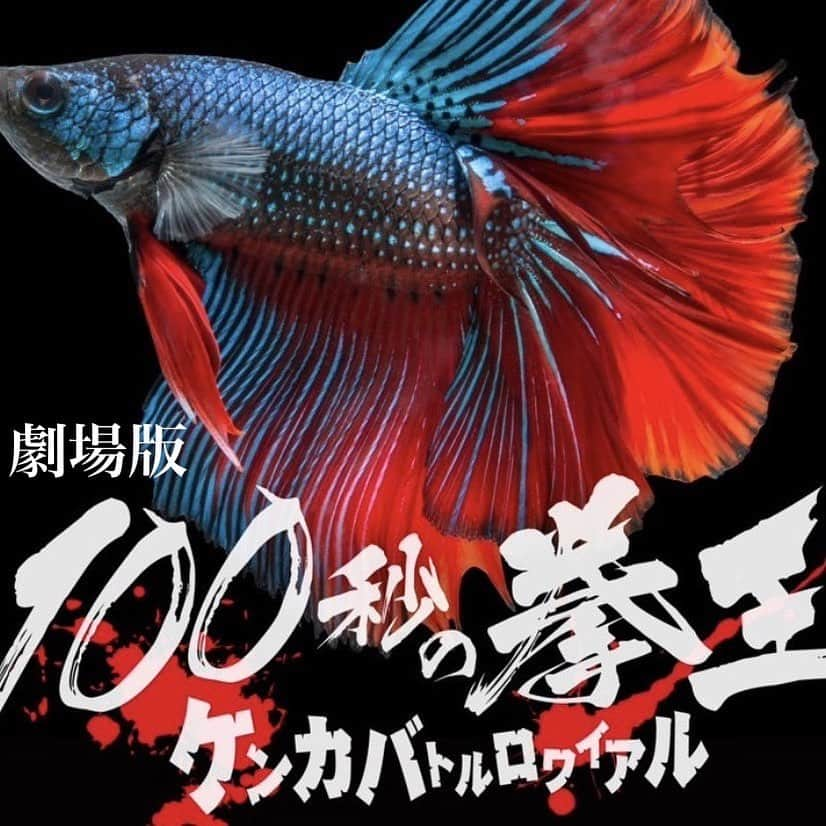 福島善成さんのインスタグラム写真 - (福島善成Instagram)「昨日、ワールドマスター優勝報告会をトライフォース池袋で朝練終了時にやっていただきました❤︎  いつも御指導してくる早川先生をはじめ、山田先生、澤田先生、鈴木先生、練習してくる道場の皆様ありがとうございました❤︎  私は映画出演も決まり芸能人として遠い存在になるかもしれませんがいつも通り変わらず練習を宜しくお願い致します❤︎ 押忍❤︎  #triforcebji #jujitsu #bjj #トライフォース #ブラジリアン柔術 #triforcejiujitsuacademy」9月20日 11時00分 - fukushimayoshinari