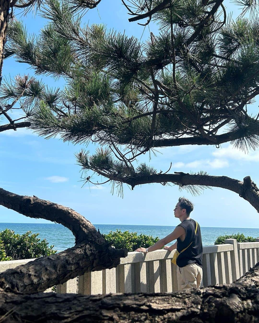 高橋大輔さんのインスタグラム写真 - (高橋大輔Instagram)「九州ノープラン旅行 大御神社、鵜戸神社 ここが僕的には1番パワーチャージ出来た気がする。  #宮崎 #大御神社 #鵜戸神社 #鵜戸神社の昇り龍 #さざれ石」9月20日 17時03分 - d1sk_t