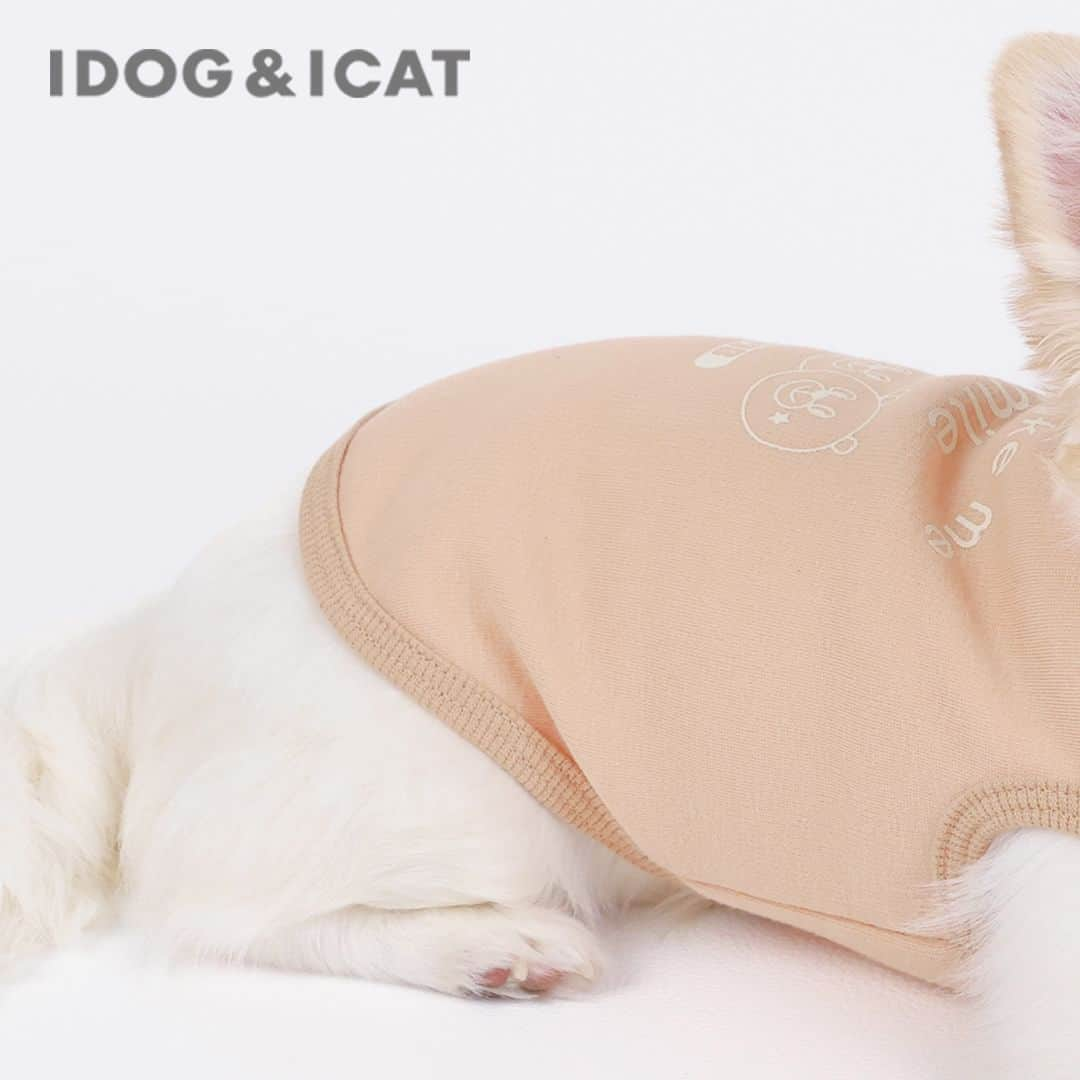 iDog&iCatのインスタグラム