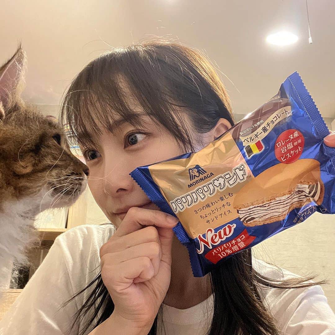 のインスタグラム：「#パリパリサンド　見つけられたかな？ パリパリのチョコレートの食感が楽しくて、大好きなアイスになりました🍨💫 私が食べようとすると、それ美味しいの？ってノヴァも寄ってくるよー。」
