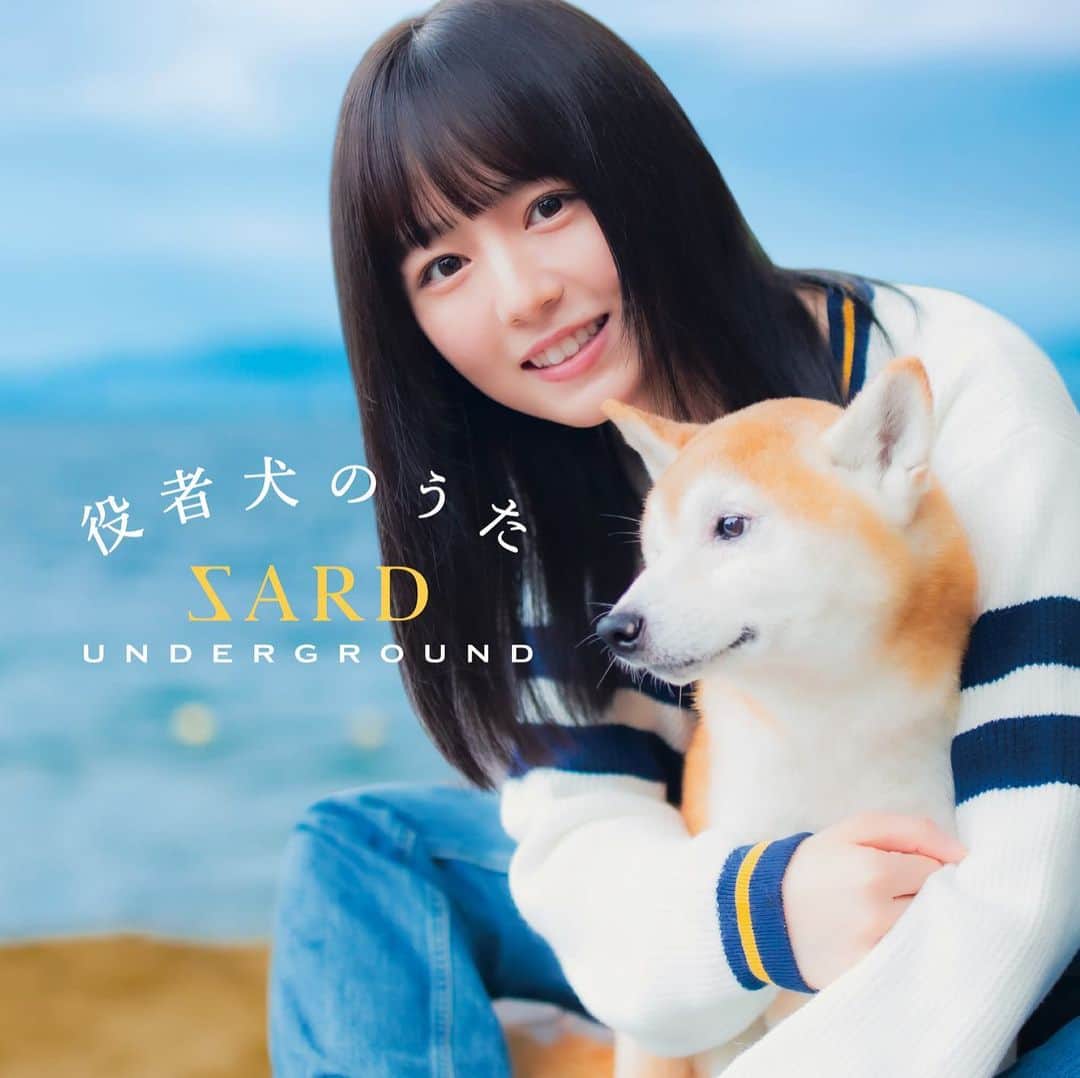 坂本ひろ美のインスタグラム：「2023.9.20 SARD UNDERGROUND 6th Single「役者犬のうた」 本日リリース日を迎えました‼︎  切ないストーリーで、初めて聞いた時すごく胸が締め付けられました。 この曲を聞いて、動物を大切にしてくださる方が増えますように…🍀  よろしくお願いいたします‼︎🐕」