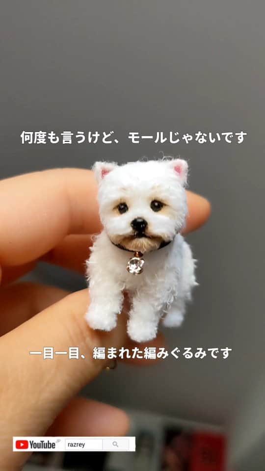 ラズリークロー（RAZREY CROW）のインスタグラム：「@tutsiminiworld  編みぐるみワンコ🐶 Amigurumi  #tutsiminiworld #puppy #miniature #dioama #dog #handmade #amigurumi #knittedtoys #westhighlandwhiteterrier #westie #ウェスティ #ホワイトテリア #ミニチュア #ハンドメイド #作家 #犬」