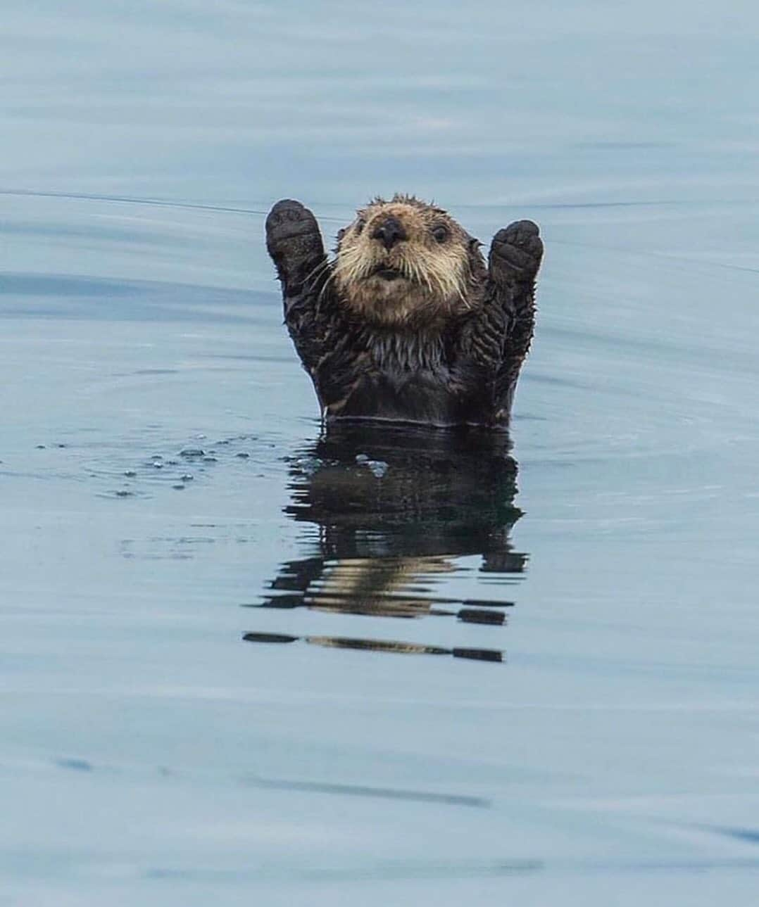 COCO さんのインスタグラム写真 - (COCO Instagram)「Hi 🙌🏻 나 제주도야! 가볼곳, 맛집 하나씩 추천해줍서🏝️ 서귀포 쪽 특히*****  #제주도여행 #제주도카페 #제주도맛집 #제주도가볼만한곳」9月20日 14時11分 - rilaccoco