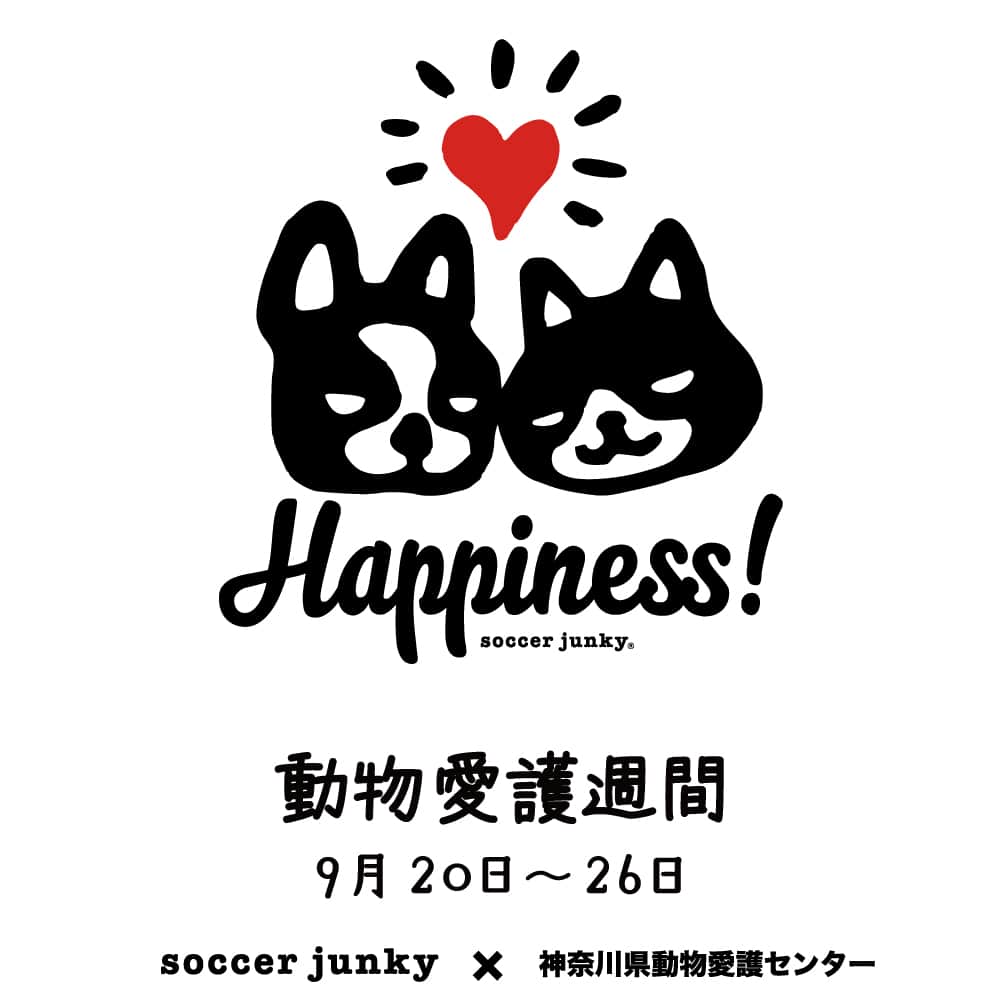 I_am_soccerjunkyさんのインスタグラム写真 - (I_am_soccerjunkyInstagram)「9/20～26は動物愛護週間  神奈川県動物愛護センターとのコラボチャリティグッズをご紹介  ・動物愛護センターチャリティー半袖TEE(ST19110) ・Happiness ヘヴィーウェイトプレミアムロングTEE(SJ23G00) ・Happiness プルパーカー(SJ20404)  サッカージャンキーでは犬や猫を使ったロゴマークということもあり、 少しでも動物保護の活動に協力できればという思いから コラボグッズの売り上げの一部を寄付させていただいております。  詳しくは画像をタップ＆ストーリーをチェック  #動物愛護 #動物愛護週間 #動物愛護チャリティー #神奈川県動物愛護センター  #soccerjunky #claudiopandiani #frenchbulldog #bostonterrier」9月20日 14時40分 - soccerjunky_official