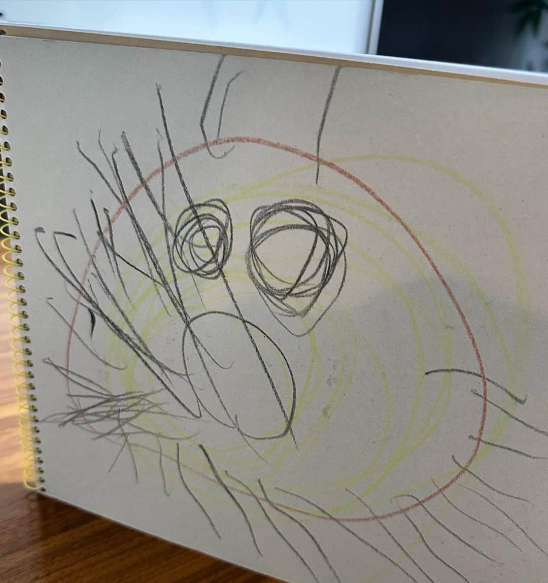 のインスタグラム：「. ふたご①の作品です。 なにを描いたと思いますか？笑。 . .」