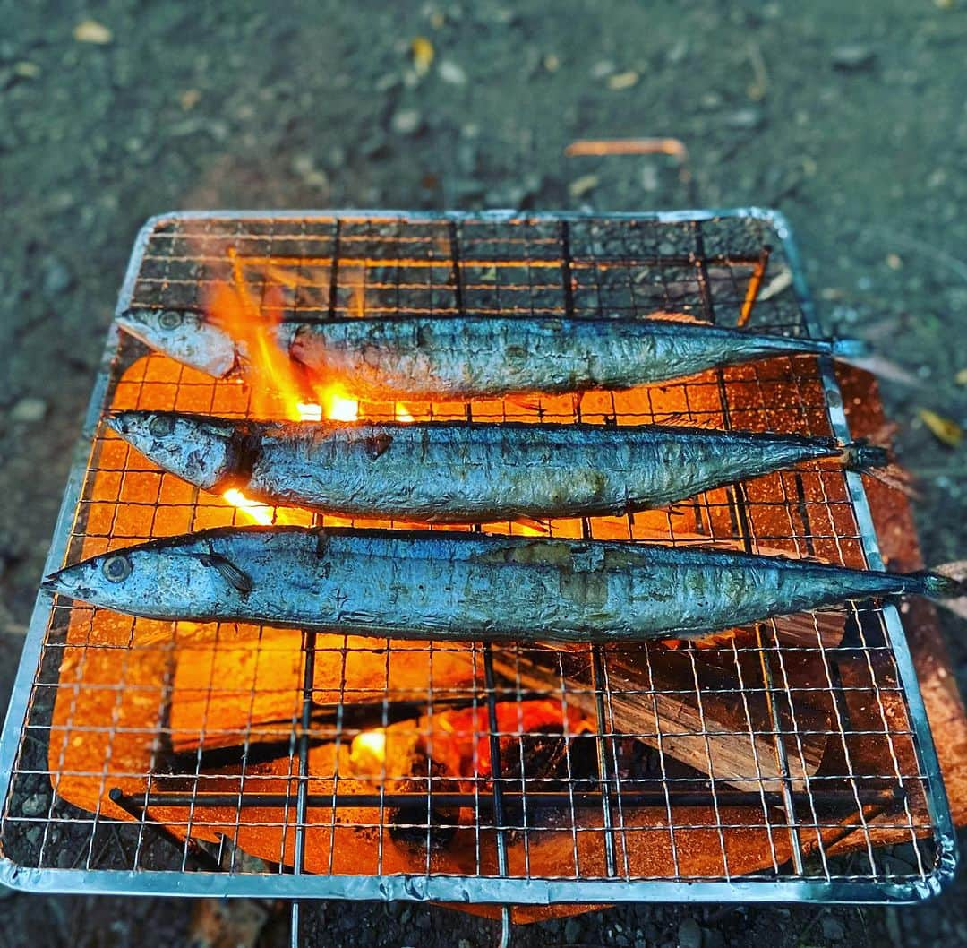 ひぐち君さんのインスタグラム写真 - (ひぐち君Instagram)「"秋刀魚と日本ワイン"のペアリング🐟🍷  山梨県甲州市🇯🇵 #塩山洋酒醸造 「重川 甲州 2022」🍷 甲州のカボスやスダチのような和柑橘のニュアンスが、さんまの塩焼きにピッタリ🍊  山梨県甲斐市🇯🇵 #サントリーフロムファーム 「マスカットベーリーA 日本の赤 2020」🍷 ハラワタの苦味には、マスカットベーリーAのイチゴを思わせる甘い香り&なめらかな果実味が、味わいに深みとコクをアップ🍓 噂に聞いていた"大人のペアリング"を堪能しました👏👏  #秋刀魚 🐟 #秋刀魚の塩焼き  #キャンプ 🏕️ #キャンプ飯  #日本ワイン 🇯🇵 #japanesewine #vinjaponais  #일본와인 #日本葡萄酒  #wine #vin #vino #wein #vinho  #와인 #葡萄酒 #ワイン #余市町ワイン大使 🍷 #髭男爵ひぐち君の語る日本ワインサロン 🥂 https://amzn.to/3DBTsSl #ひぐち君の日本ワイン会  https://bit.ly/2KJ9DQy @higehiguchi」10月5日 10時10分 - higehiguchi