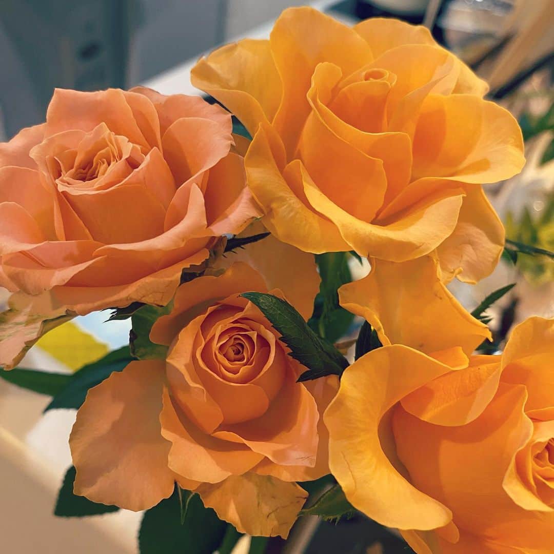 うさゆいのインスタグラム：「.  今回のお花は薔薇🌹 黄色は平和 ピンクは感謝、上品、幸福  お花を自宅に飾ると、住む人の運気がUPするといわれています。 風水（ふうすい）では、家の中に生きた花や植物を飾るだけで、自然が持つ良いエネルギーを取り込めるとの考え方があります。 加えて、お花には運気を下げる原因となる「邪気」を吸い取る効果があるとされていて、邪気を取り除くことで開運につながると期待できるのです✨️」
