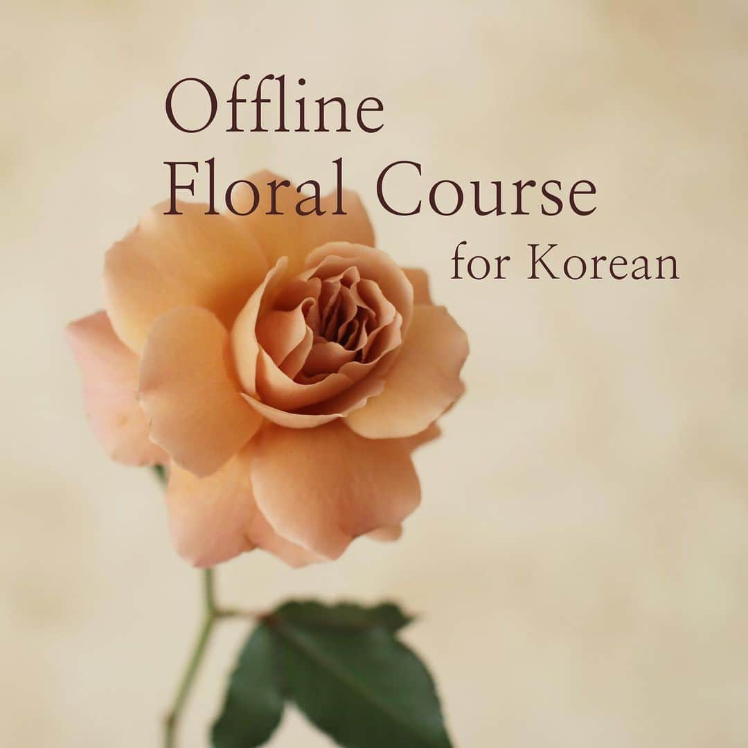 플로리스트 김애진(케이라플레르)のインスタグラム：「안녕하세요. 케이라입니다. ^^  하반기 올해 마지막 하반기 수업 공지합니다.   케이라 수업은 체계적인 수업으로 인정받고 있습니다. 단계별 학습을 중요하게 생각하여 기초를 탄탄하게 쌓을 수 있도록 교육합니다. 기초가 탄탄해야 응용력을 기를수 있습니다.  단계별로 배우시면 탄탄한 기본기와 더불어 실력을 키우실수 있습니다.   11월 9-11일은 외국인 수업 진행으로 한국수업은 휴강됩니다.   일정 확인후 등록 부탁드립니다.   모든 수업은 김애진 원장 직강으로 진행되며, 수업은 소수인원으로 프라이빗 클래스 입니다. 선착순 마감됩니다.   [케이라 수료증 발급 안내]  - 기초, 중급a,b ,고급반, 웨딩반 까지 마치신 분들께는  <케이라플로랄코스 수료증> 을,  - 꽃다발, 꽃바구니, 웨딩부케, 센터피스 까지 마치신 분들께는  <케이라마스터코스 수료증> 을 드립니다.   문의는 카카오채널 (케이라)로 해주시면 감사하겠습니다 🤍  *이수역 쪽에 위치하고 있고, 건물에 무료주차 가능합니다.   문의- 카카오채널문의 (케이라)」