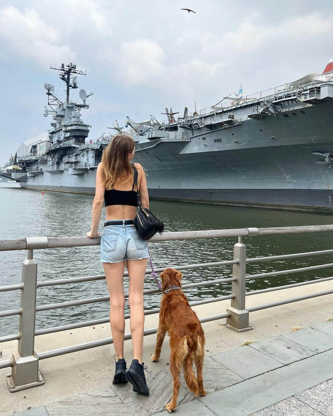 サマンサ・グラドヴィルさんのインスタグラム写真 - (サマンサ・グラドヴィルInstagram)「Sunshiny autumn day visiting the Intrepid with my best girl 💗🐾 #aurora」10月5日 2時36分 - samgradoville