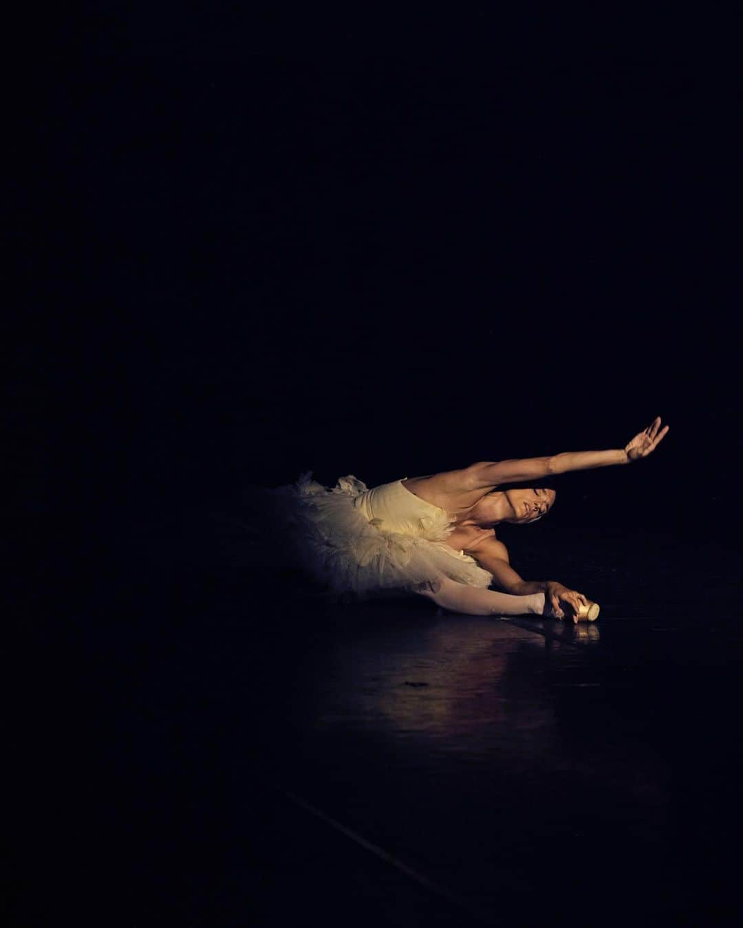 ドロテ・ジルベールのインスタグラム：「Heureuse de danser « La mort du cygne » en Guyane.  @operaenguyane  Photo de @julien_mignot」