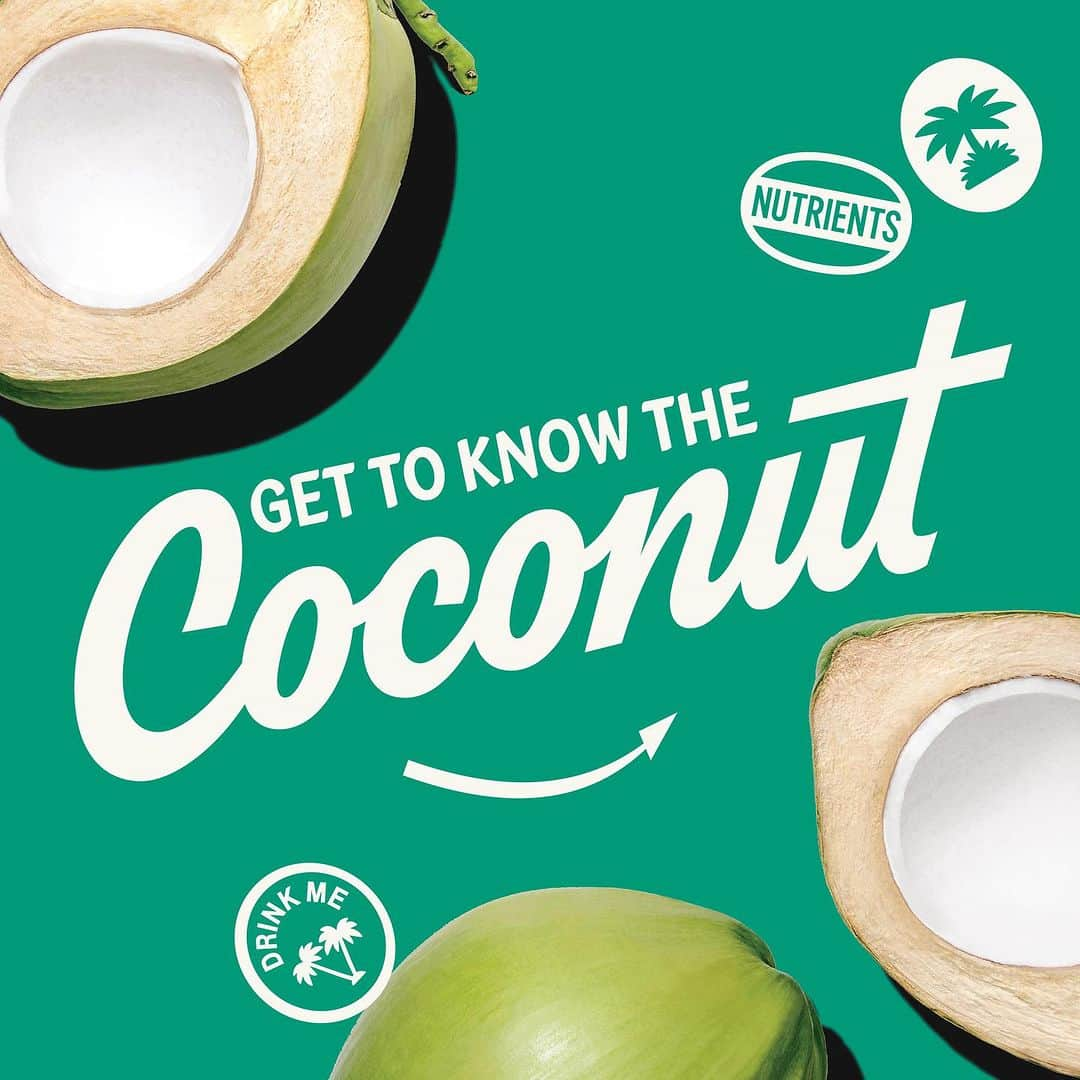 Vita Coco Coconut Waterのインスタグラム：「Allow us to reintroduce ourselves. Coconut fam, we present to you, ✨ the coconut ✨Every part of it can be used beyond just drinking what’s inside 😁 Swipe to learn more!」