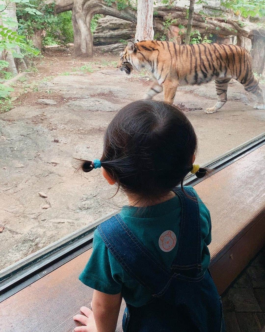 山田みみさんのインスタグラム写真 - (山田みみInstagram)「. ⁡ 先日上野動物園に行ってきました🐼 ⁡ ⁡ お喋り出来るようになったお嬢との動物園 行き甲斐しかなかった&癖強で めちゃくちゃ面白かったです🫶🏻ww ⁡ ⁡ ⁡ ⁡ ⁡ ⁡ ⁡ #女の子ベビー #女の子ママ #babygirl #令和3年ベビー #新米ママ #ズボラママ #赤ちゃんのいる生活 #赤ちゃんのいる暮らし #ベビスタグラム #ママスタグラム #2歳 #子育て #親バカ部 #2021年4月出産 #公式たまひよグラマー #イヤイヤ期 #上野動物園 #動物園」10月5日 11時06分 - mm_970710