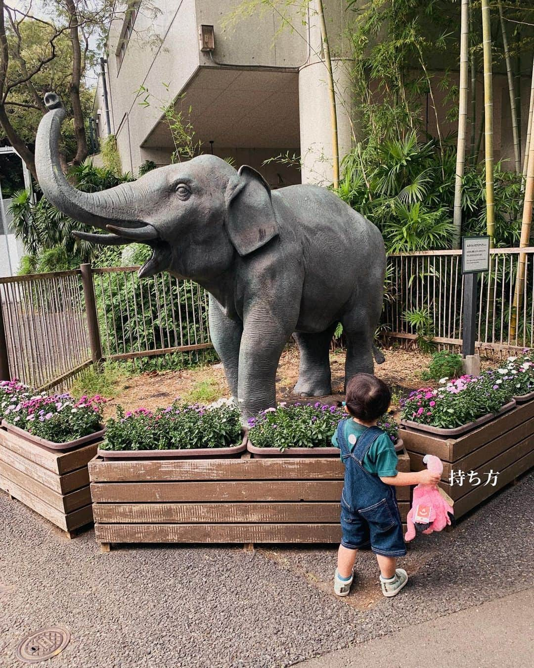 山田みみさんのインスタグラム写真 - (山田みみInstagram)「. ⁡ 先日上野動物園に行ってきました🐼 ⁡ ⁡ お喋り出来るようになったお嬢との動物園 行き甲斐しかなかった&癖強で めちゃくちゃ面白かったです🫶🏻ww ⁡ ⁡ ⁡ ⁡ ⁡ ⁡ ⁡ #女の子ベビー #女の子ママ #babygirl #令和3年ベビー #新米ママ #ズボラママ #赤ちゃんのいる生活 #赤ちゃんのいる暮らし #ベビスタグラム #ママスタグラム #2歳 #子育て #親バカ部 #2021年4月出産 #公式たまひよグラマー #イヤイヤ期 #上野動物園 #動物園」10月5日 11時06分 - mm_970710