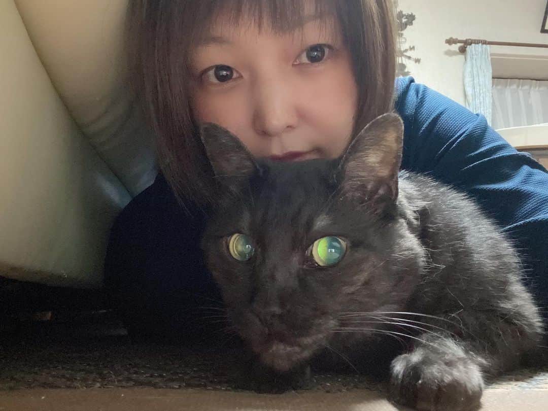 内村麻美のインスタグラム：「. 赤ちゃん猫のときに出会って ９年が経ちました🐈‍⬛🪴 . 少しでも元気がないと めちゃくちゃ心配になる。 . これからも長生きしてね。 . #みゅう #黒猫」