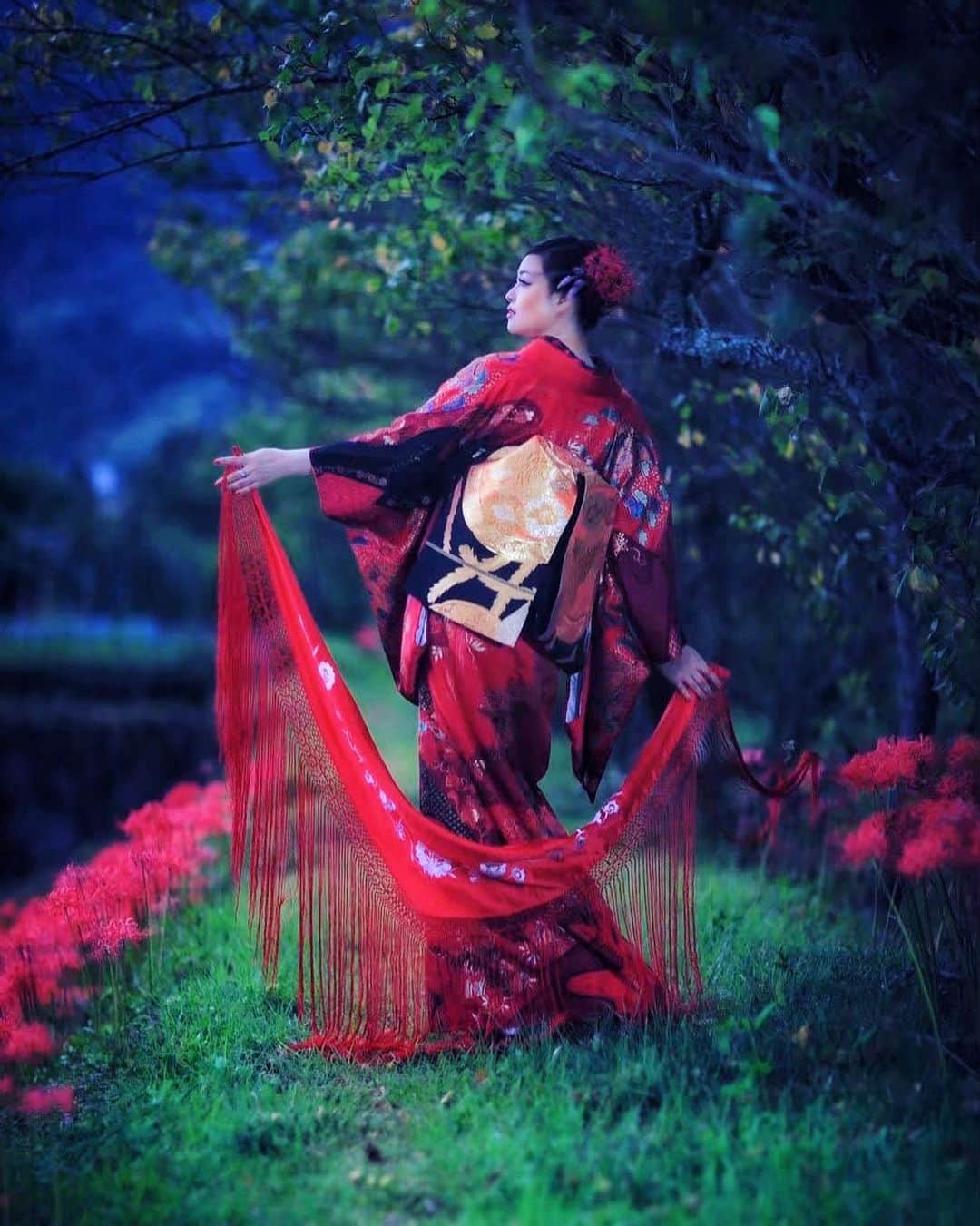 舘林佳史さんのインスタグラム写真 - (舘林佳史Instagram)「和服美人夕暮れ彼岸花の小道✨  彼岸花に赤いアンティーク着物が映えました💓  ミセスジャパン日本代表🇯🇵 世界大会第二位  フラメンコダンサーレイナ💃 @reina_flamenco  ༚┈❁┈༚༝༝༚┈❁┈༚༝༝༚┈❁┈༚༝༝༚┈❁┈ ༚༝༝༚┈❁┈  誰でも物語の主人公になれる  をキャッチコピーにドラマや映画 物語のワンシーンの様なDramaticStoryPhot と言う名前で活動作品作りをしています。  大好評のドラマティックフォトのご依頼は このクオリティーで30000円〜(ほぼ諸経費) で受け賜わっています)^o^(   素敵な作品を一緒に作りたい！ コラボレーションしたい 美容師・メイクアップアーティストさん ・服飾デザイナーさんクリエイターさんも随時募集中です✨  お姫様になりたい👸物語の主人公になってみませんか^ ^⁉︎  たった一枚の写真で人生が変わる‼️  ✨ドラマティックフォト依頼 撮影依頼 DM下さい✨📩  モデル宣材撮影 コンポジ Book作り プロフィール撮影 ブライダルフォト記念撮影 衣装レンタル 成人式 着物 ドレスロケーションフォト スチール サロンモデル撮影 写真集等撮影のご依頼何でもお気軽にお問い合わせDM下さい✨📩   ༚┈❁┈༚༝༝༚┈❁┈༚༝༝༚┈❁┈༚༝༝༚┈❁┈ ༚༝༝༚┈❁┈  #着物 #アンティーク着物 #彼岸花 #夕暮れ #田舎の風景 #秋 #和服美人 #美魔女 #ドラマティックフォト #CanonEOSR6マークⅡ  #ポートレート #model#photo#カメラマン#ロケーションフォト#ロケ撮影#カメラマン#photographer#モデル募集#ポートレートモデル募集#スナップ撮影#ポートレートモデル#写真#カメラ」10月5日 8時18分 - tatephotox