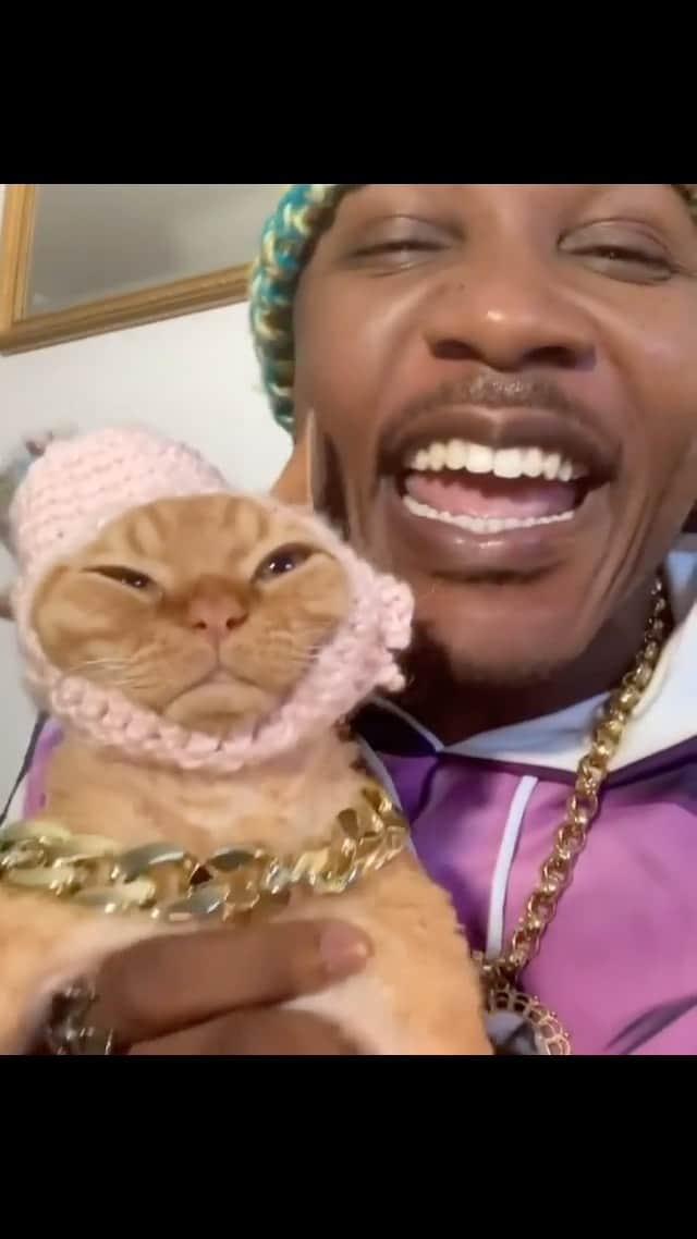 のインスタグラム：「One time for the people and DJ Ravioli, I’m done pouring out my feelings. Just know I love you son. To any NICE cat person reading this. Thank you and we appreciate YOU. Have a great day. Where our NICE CAT PEOPLE AT? #TheCatRapper #DJRavioli #CatMan #CatMom #CatDad #MoGang」