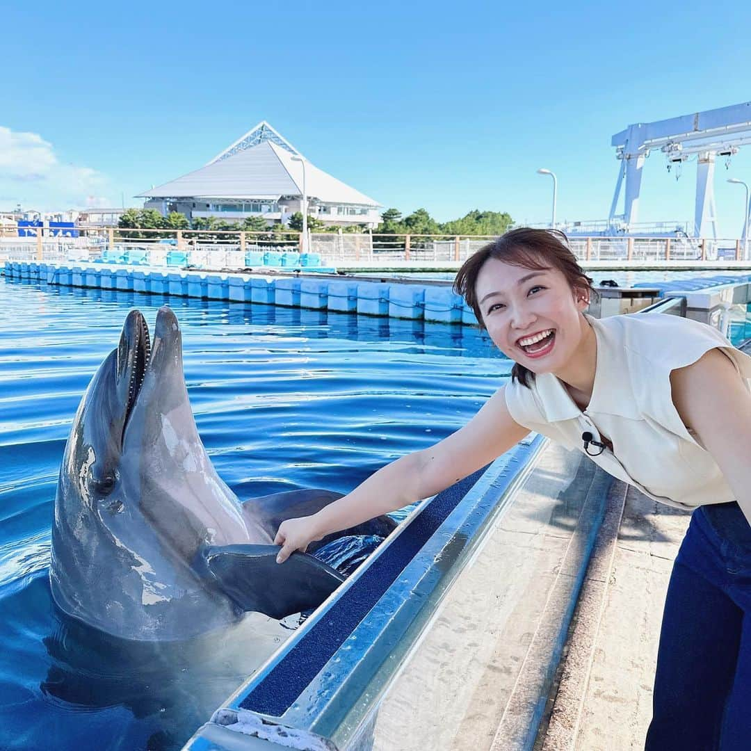 杉原凜のインスタグラム：「きのうは八景島シーパラダイスから中継でした！ バンドウイルカのラムちゃんと握手🤝🩵 一緒にボール遊びもしたのですが、私が遠くに投げすぎちゃったボールをラムちゃんが拾いに行ってまた投げ返してくれました🥹🙏  #ZIP #NOWニッポン #22 #八景島シーパラダイス   👗#cocodeal #nanouniverse #jouete」