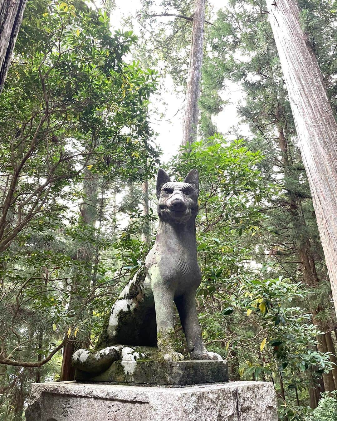 山本夢さんのインスタグラム写真 - (山本夢Instagram)「. 先日はずっと行きたかった 三峰神社へ。  鳥居をくぐった瞬間から 凛とした空気が流れていて とても素敵な空間。  特に私は 奥宮の見晴台が 感動し過ぎて 風が心地良すぎて。。 また行きたいなぁ☺️  ありがとうございました。  #三峰神社 #神社巡り  #パワースポット」9月20日 17時40分 - yume_yamamoto_ue