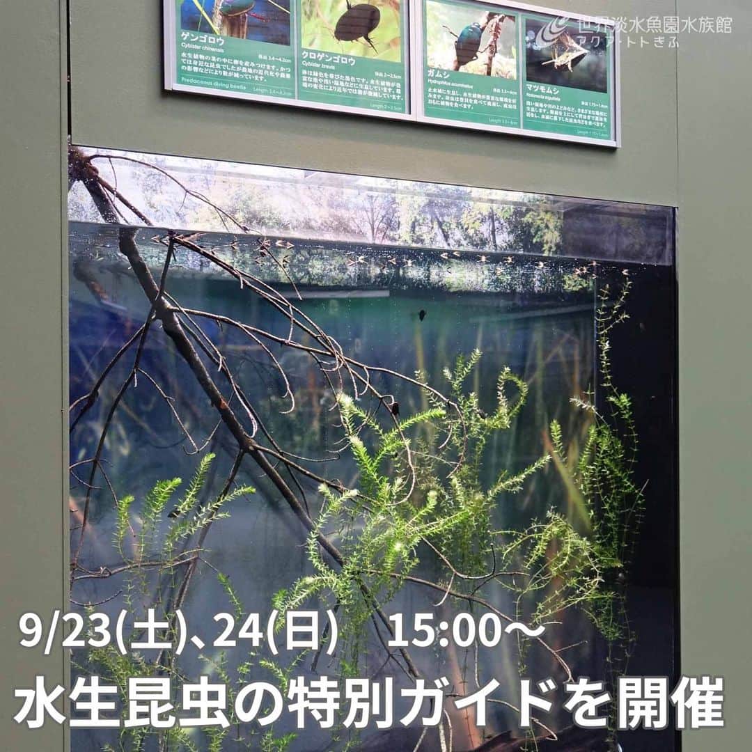 世界淡水魚園水族館 アクア・トト ぎふのインスタグラム