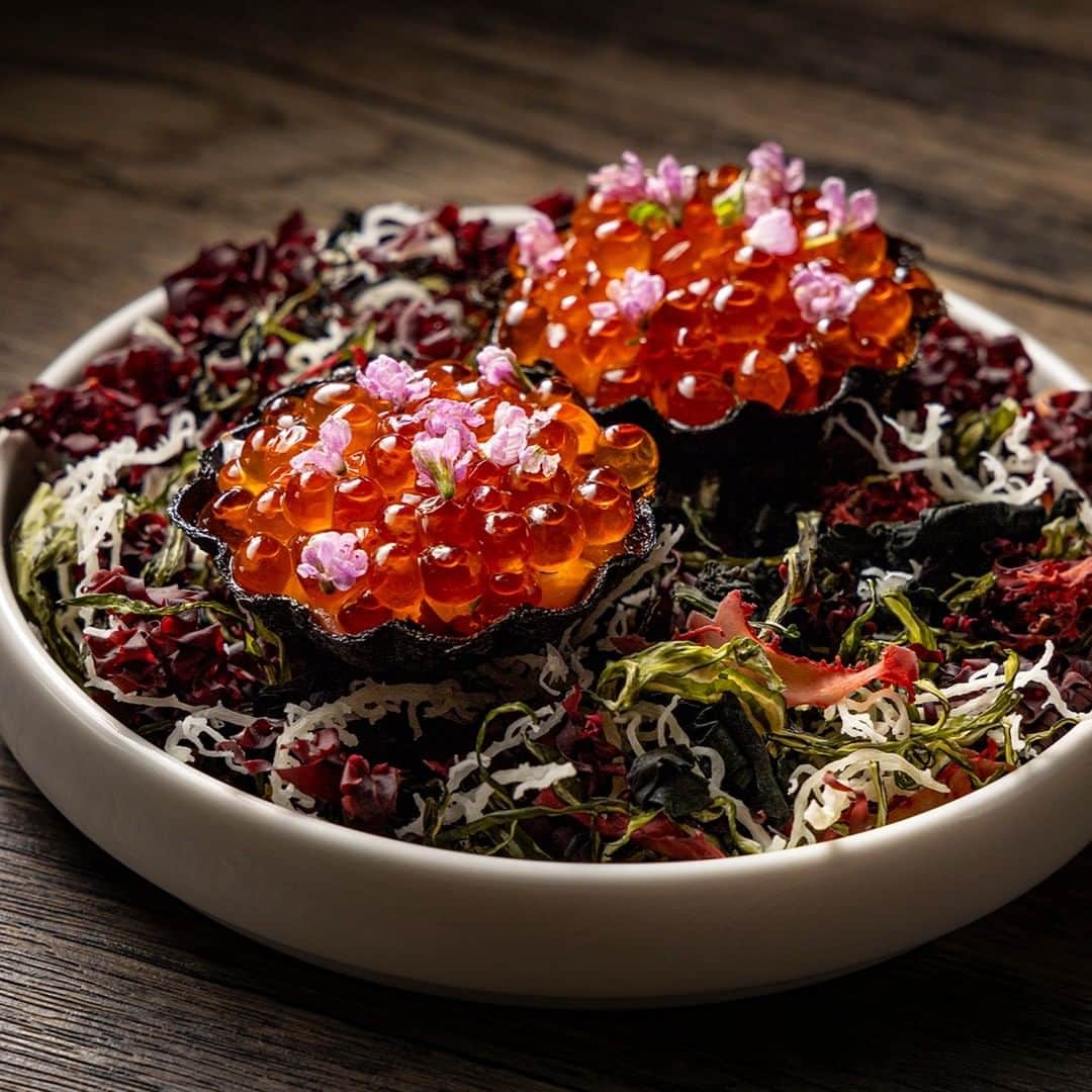 ヒルトン東京さんのインスタグラム写真 - (ヒルトン東京Instagram)「メトロポリタングリルでは、炎を自在に操るシェフ達が桜の薪と備長炭を用いてお届けするコースディナーをご用意しています。  「ラムチョップのグリルのマリネ」「ホタテと海藻のタルトレット」など、スモーキーで風味深い味わいをどうぞお楽しみください✨  #ヒルトン #ヒルトン東京 #hilton #hiltontokyo #ホテル #hotel #ホテル女子会 #メトロポリタングリル #お肉 #グリル #秋 #秋の味覚 #アロマ #香り #スイーツ #パンプキン #デート #おしゃれ #デート #ホテルディナー #肉 #スパイス」9月20日 18時27分 - hiltontokyo