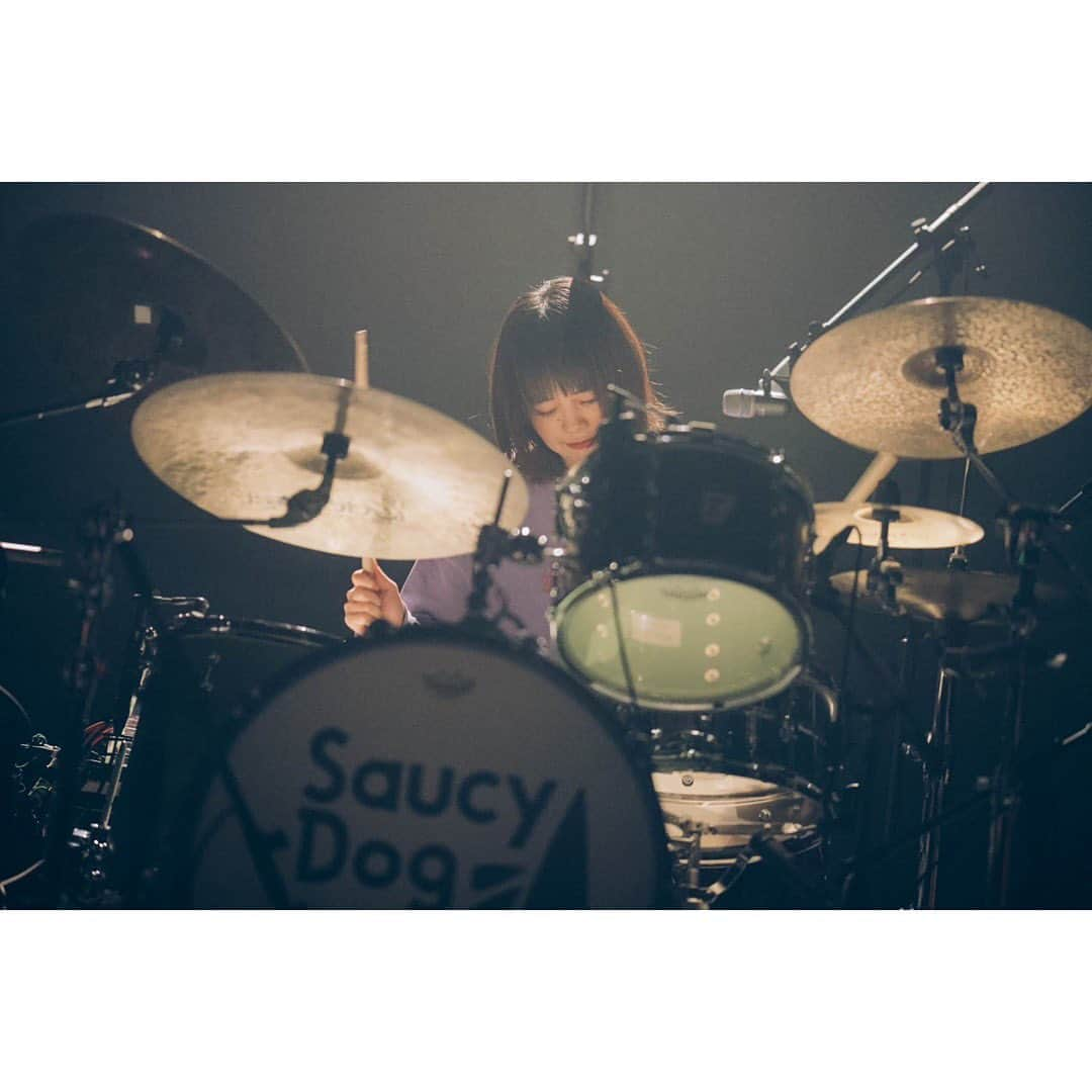 Saucy Dogのインスタグラム：「2023.9.14　名古屋センチュリーホール Saucy Dog HALL TOUR 2023"in your life" 名古屋公演  all photo by日吉"JP"純平(@junpeihiyoshi)  #サウシードッグ #サウシー  #さうしーどっぐ  #さうしー #saucydog」