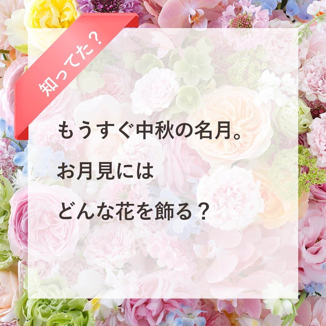 雑誌『花時間』のインスタグラム：「もうすぐ十五夜🌕ですね。  花時間（＠hanajikan_magazine）です。  今年の十五夜は9月29日。  夜はだいぶ過ごしやすくなってきたので、お花を飾って、お月見しませんか？  ススキ🌾が入ると、だいたい、それらしく？　せっかくなら、和の花に目を向けてみませんか？  バラやダリアは、いつだって飾れますもんね（笑）  夏、浴衣で花火に出かけたくなるのとおんなじ？　気分が違うんです。  フジバカマやオミナエシは、買ってきて、もしも元気がなかったら、切り口をコンロの火で炙ってから、深い水にいけて休ませてみて。  しばらくすると、元気復活！  なお、オミナエシの香りが苦手な方へは、黄色いポツポツとしたお花のミシマサイコで代用してみてね。  今年は、いいお月さまを🌕見られますように！  では、本日もお疲れさまでした。明日も元気smile😊😊😊で頑張りましょう！ byピーターパン  写真　@tanabe32   【花時間ニュース】 💜『花時間マルシェ』発、花の定期便が大好評🥰　世界でここだけのバラと旬花が届く嬉しいサービスです💕  💜『花時間』の2024年カレンダー、大好評発売中！  💜『花時間2023秋』〈花屋さんへ行こう〉大好評発売中！  💜『花と短歌でめぐる 二十四節気 花のこよみ』大好評発売中  #花時間  #フラワーアレンジ #お月見の花 #秋の花 #十五夜飾り  #花が好き #花が好きな人と繋がりたい  #花を飾る  #花を飾る生活 #花屋さんへ行こう」