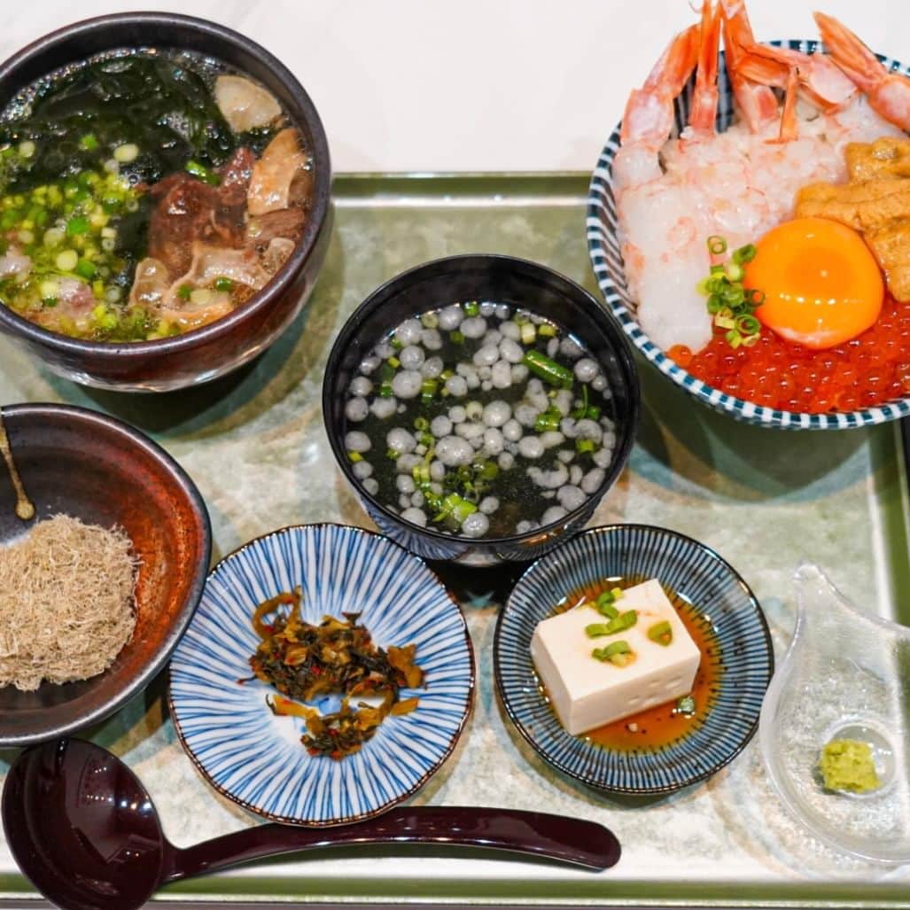 ホワイトクラウドマウンテンミノーの魚種プロフィール